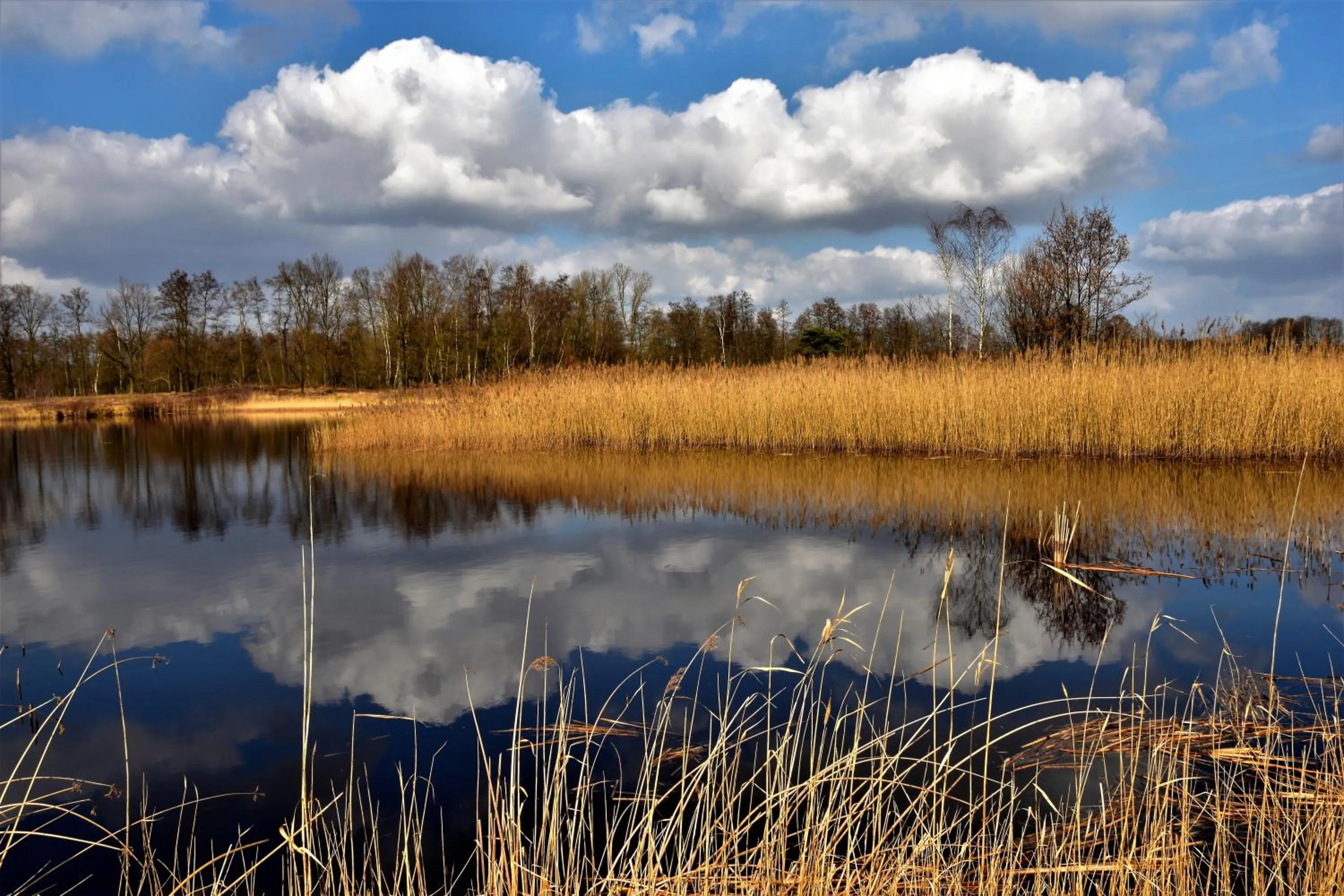 Natural landscape in Relax B&B Lavendine Pure