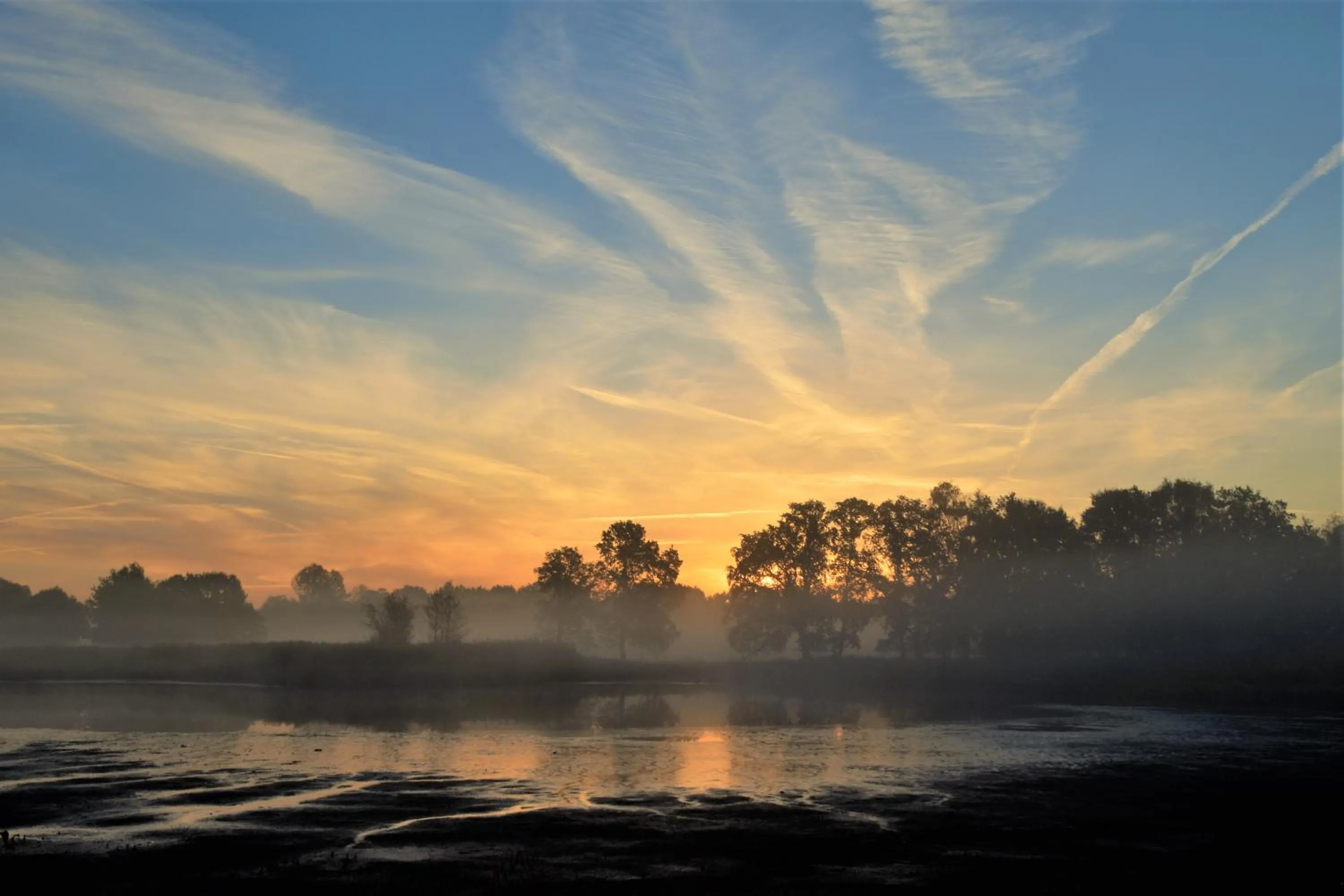 Natural landscape in Relax B&B Lavendine Pure