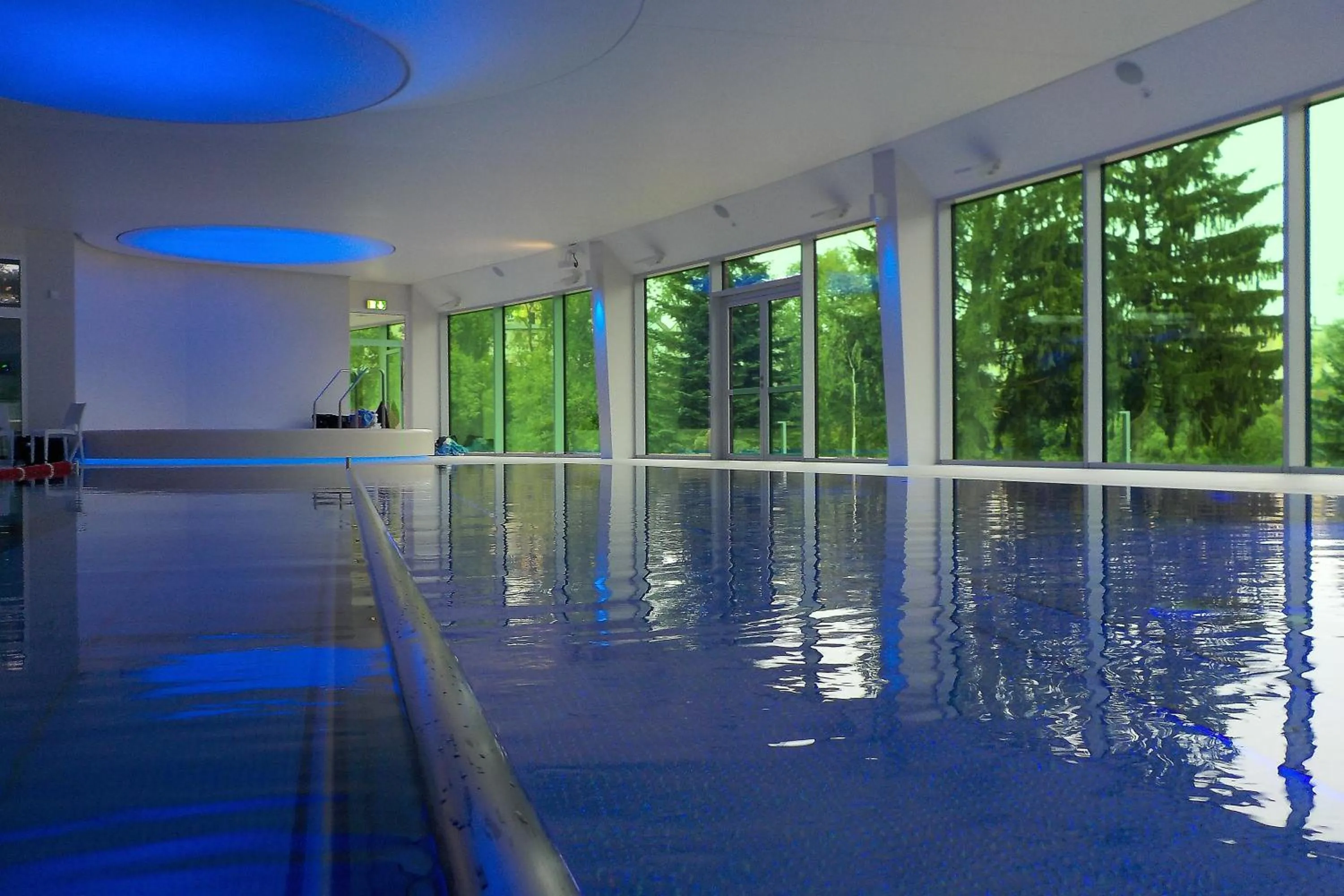 Swimming pool in Manor House