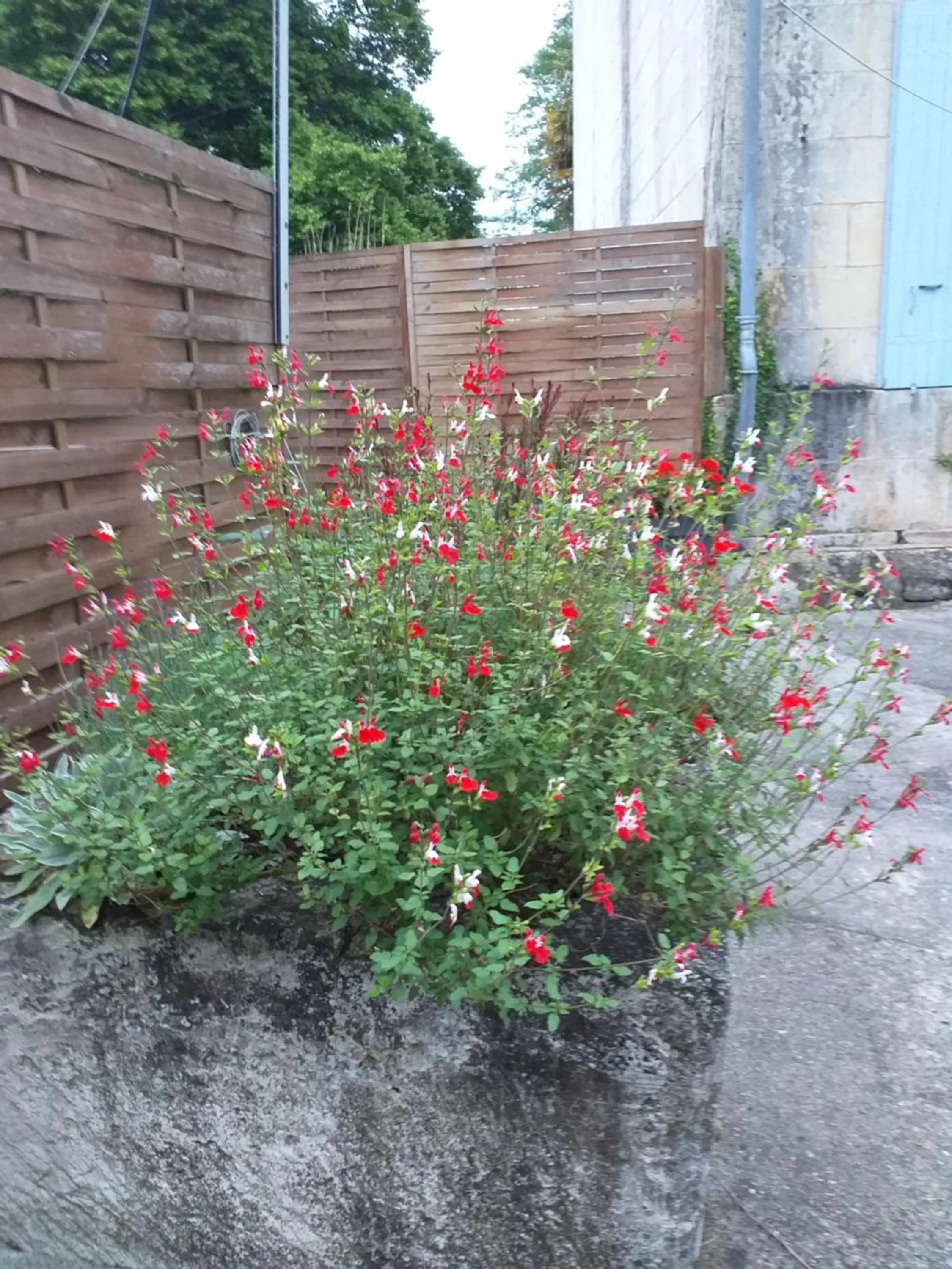 Les Demeures de la Laigne