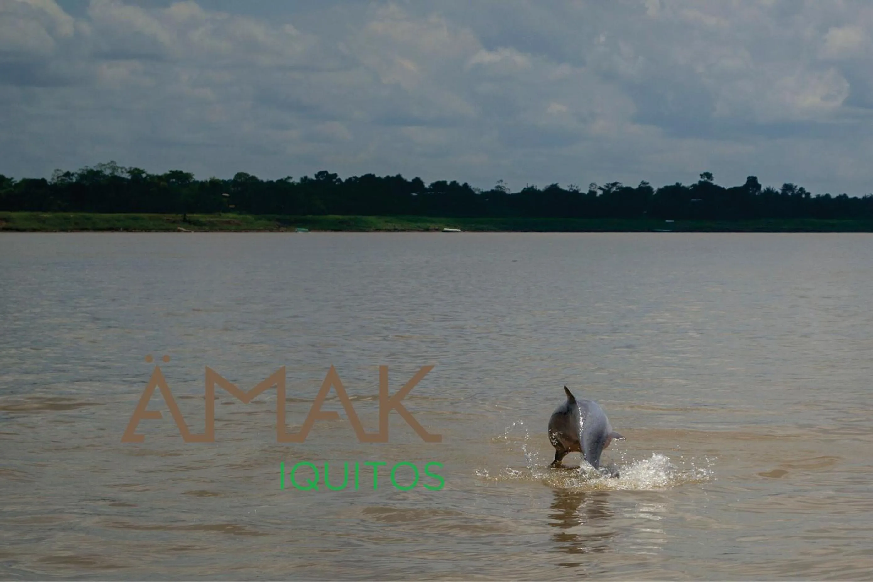 Fishing in Ämak Iquitos Ecolodge - All Inclusive