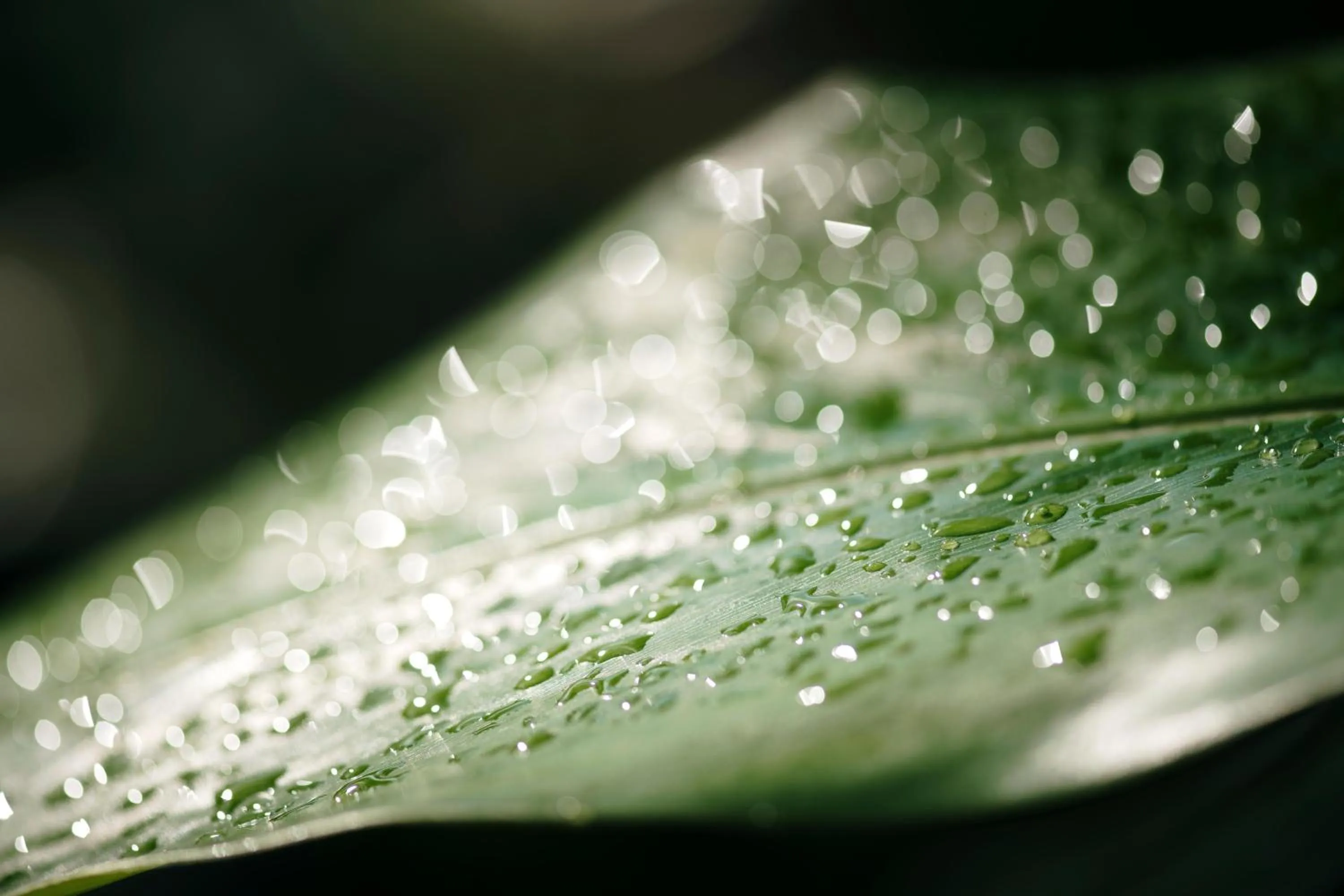 Bathroom in Sandals Ochi Beach All Inclusive Resort - Couples Only