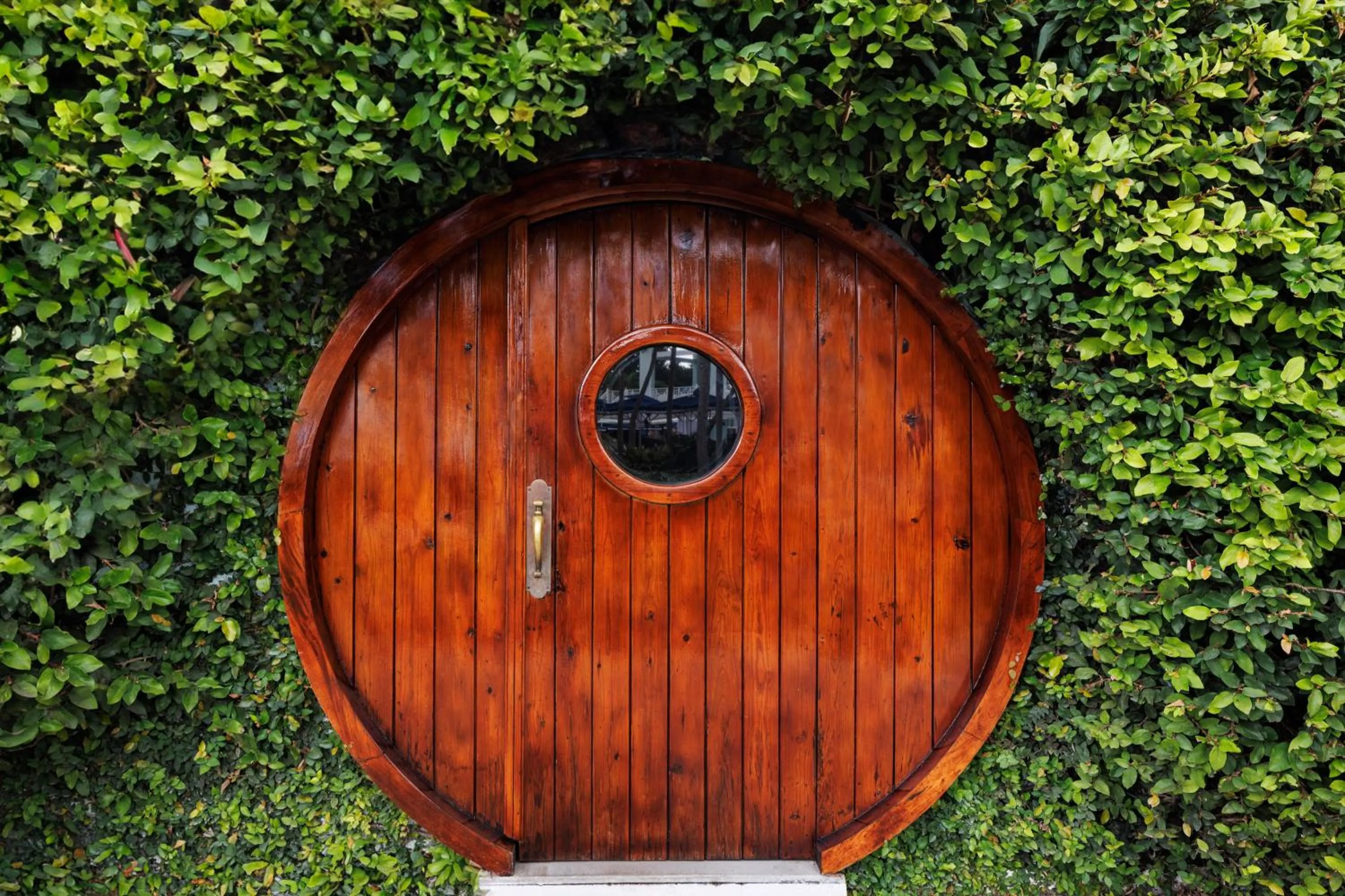 Lounge or bar in Sandals Ochi Beach All Inclusive Resort - Couples Only