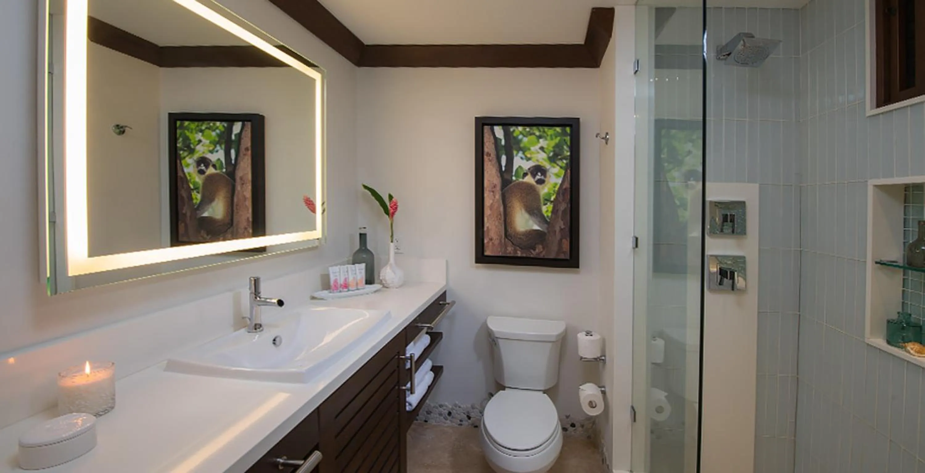 Caribbean Grand Luxe  in Sandals Barbados All Inclusive - Couples Only