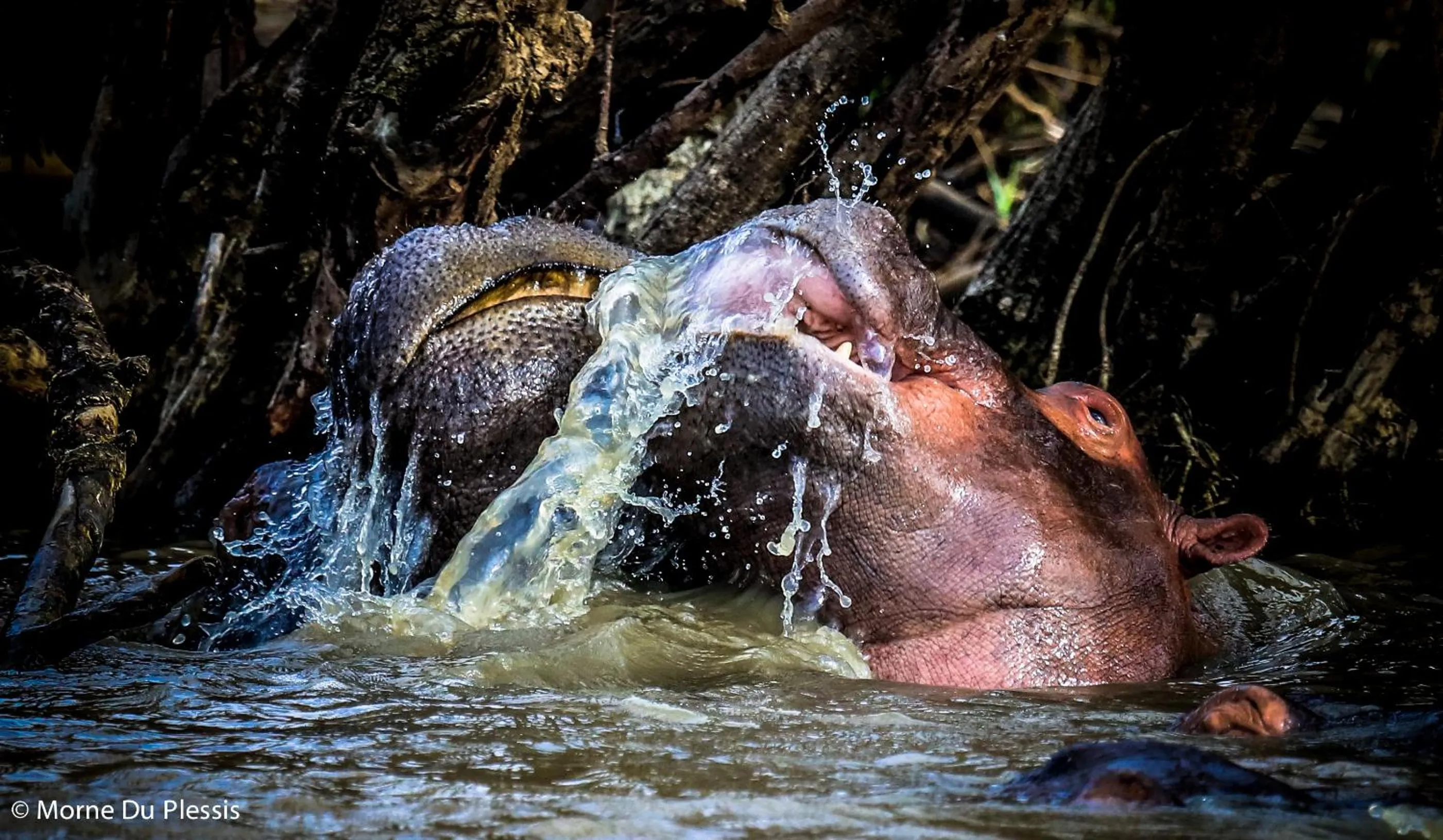 Off site in Pelican's Nest Holiday Home St Lucia