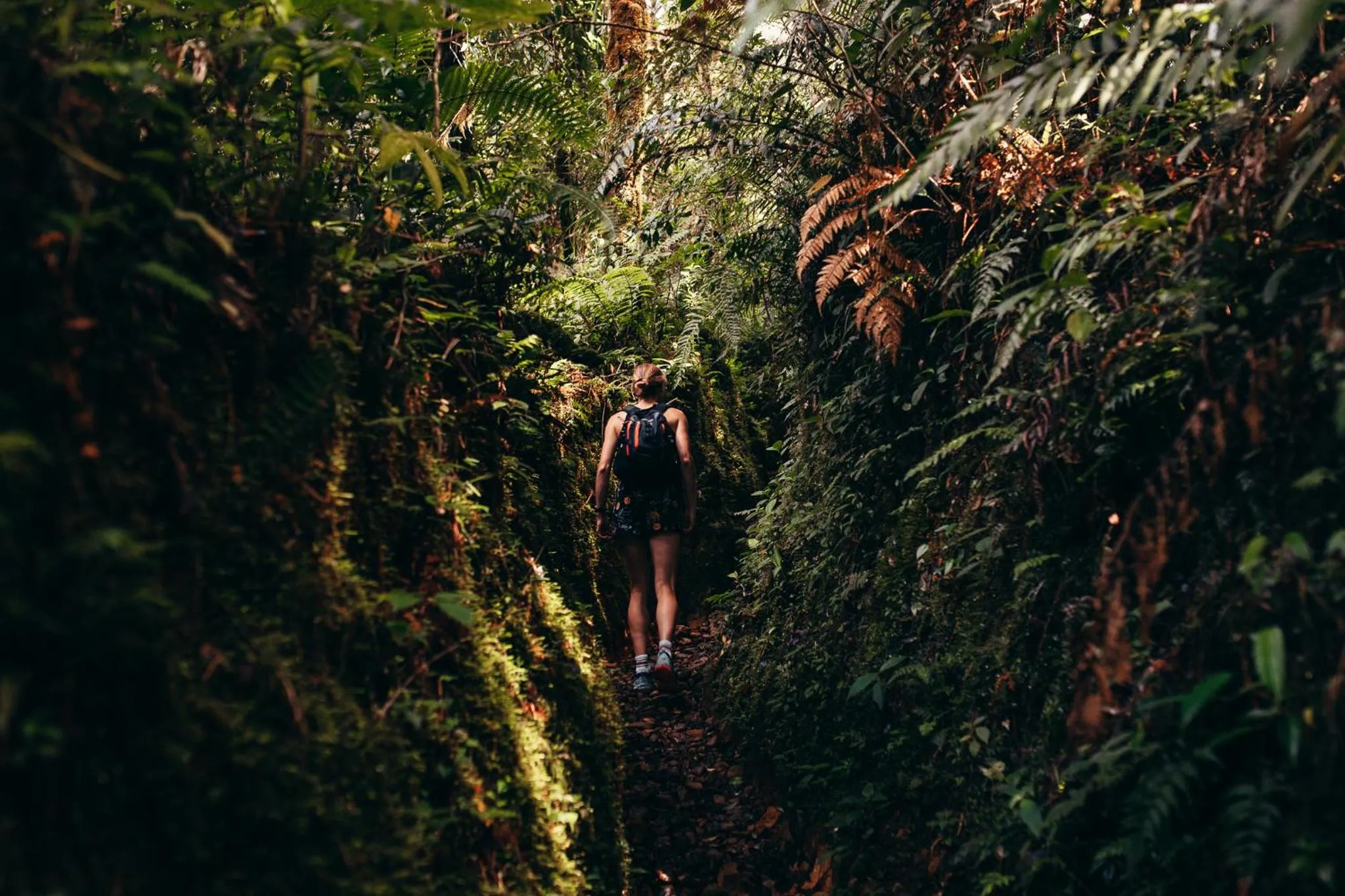 Off site in Bambuda Castle