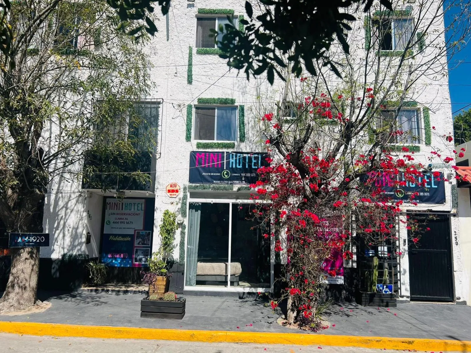 Property building in MINI HOTEL San Luis Potosí