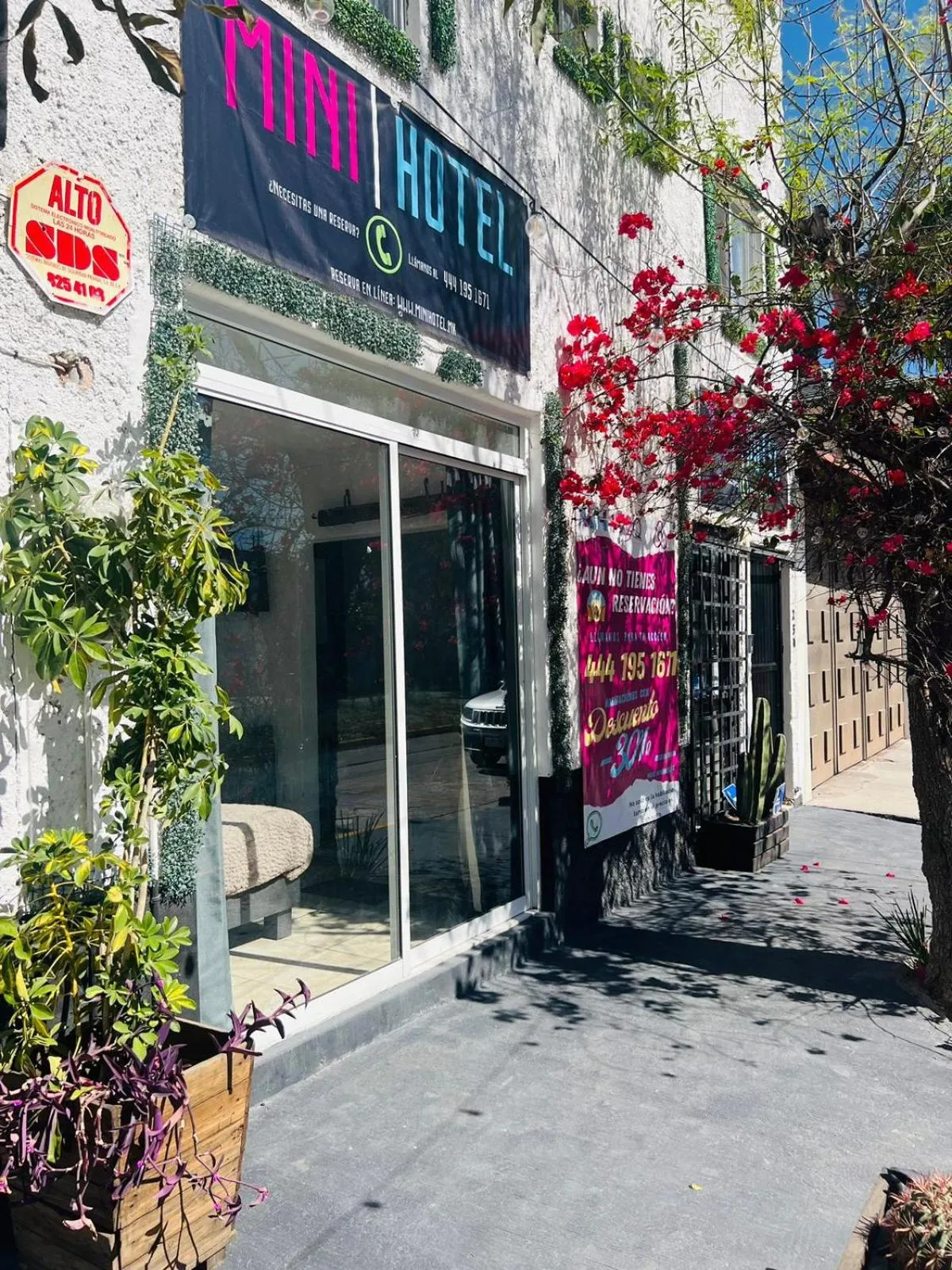 Property building in MINI HOTEL San Luis Potosí