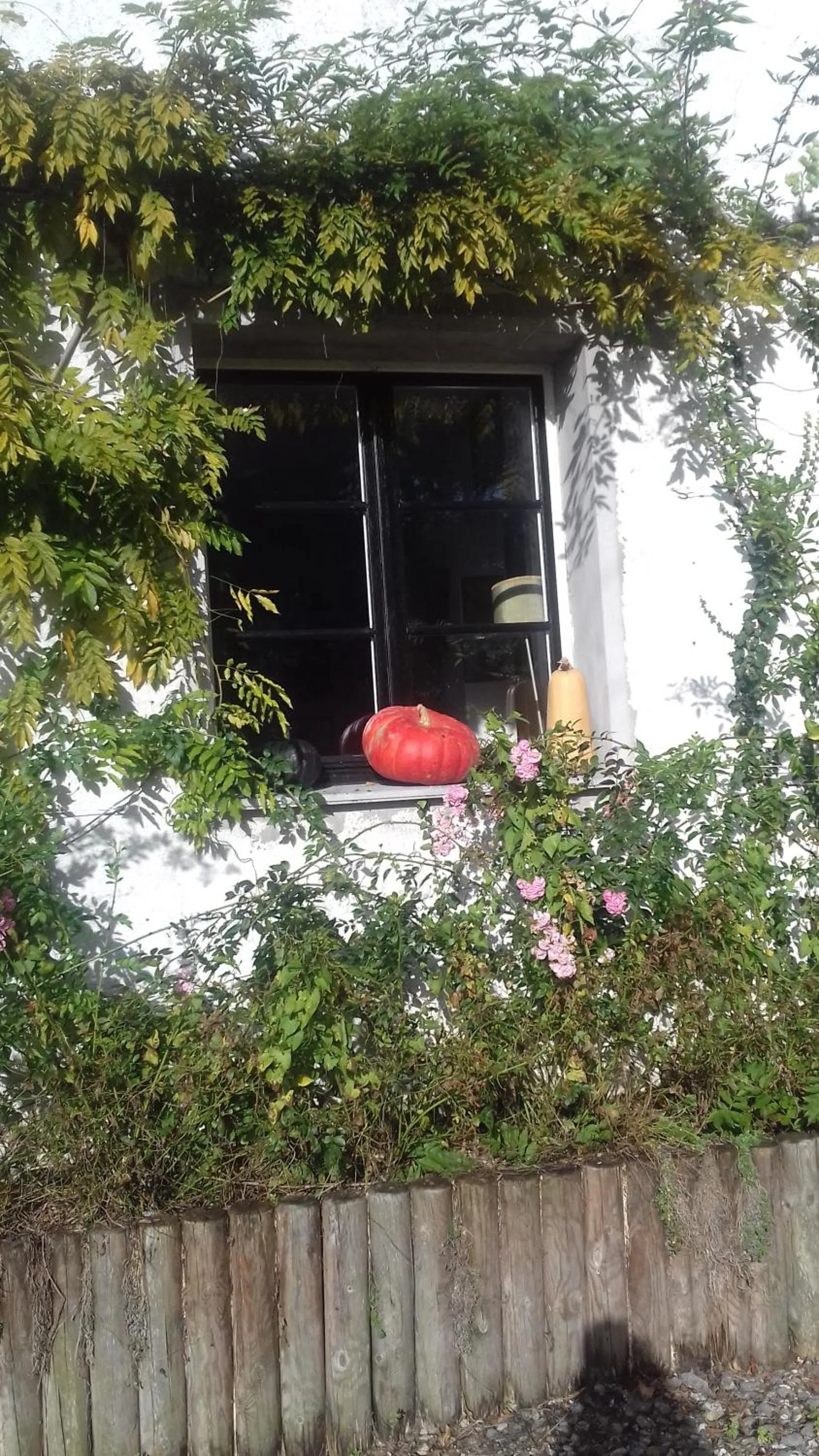 La Colline des Roses