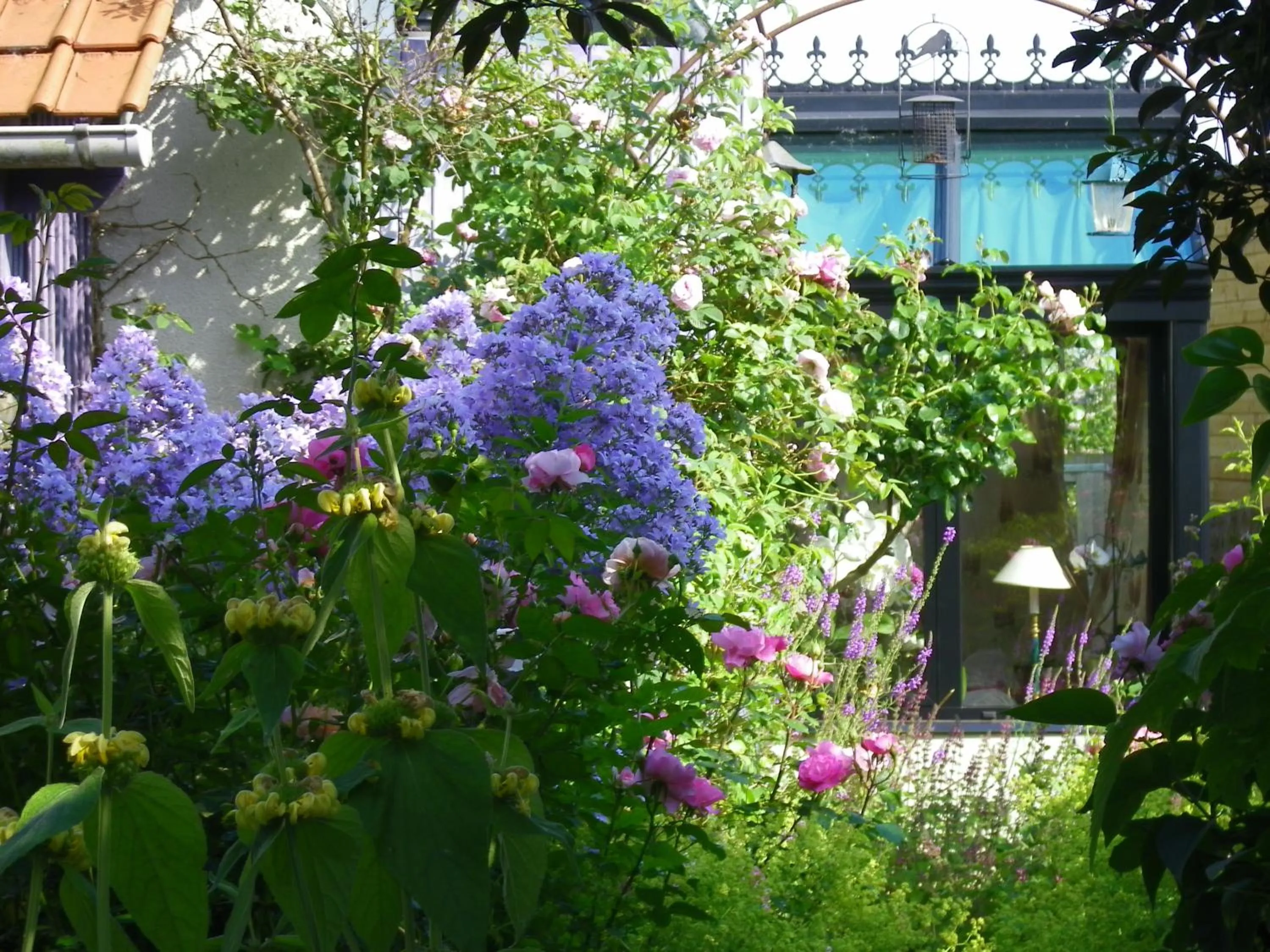 La Colline des Roses