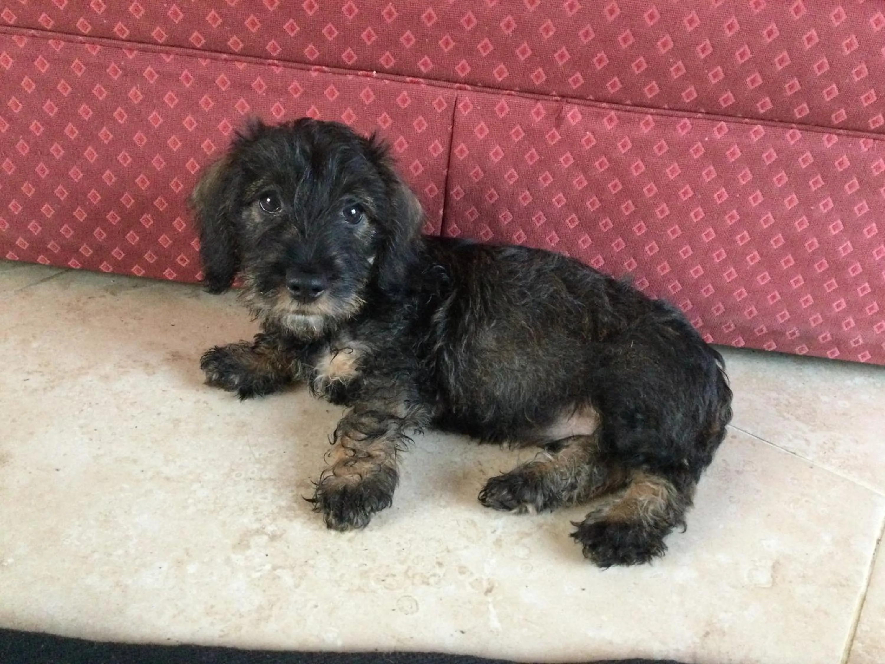 Field End House Strawberry Lane Meysey Hampton