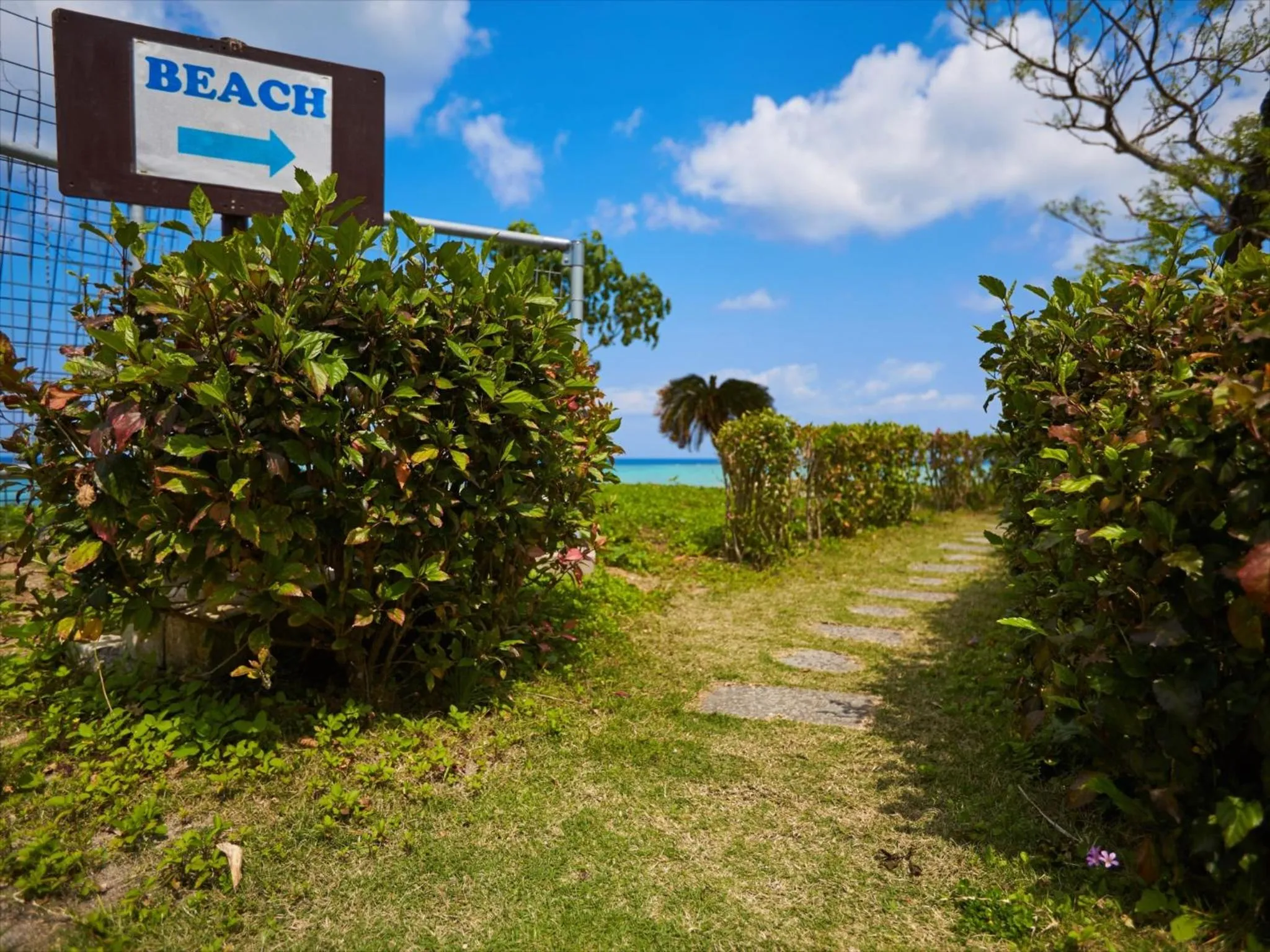 Beach in Wood Pecker Nakijin