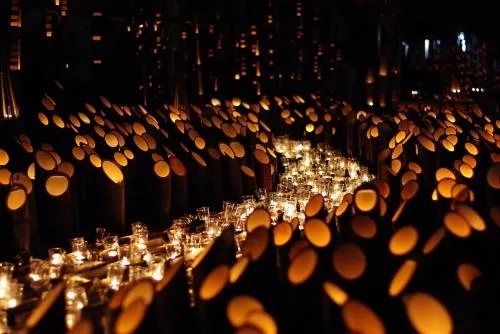 Other in Plaza Hotel Fujinoi