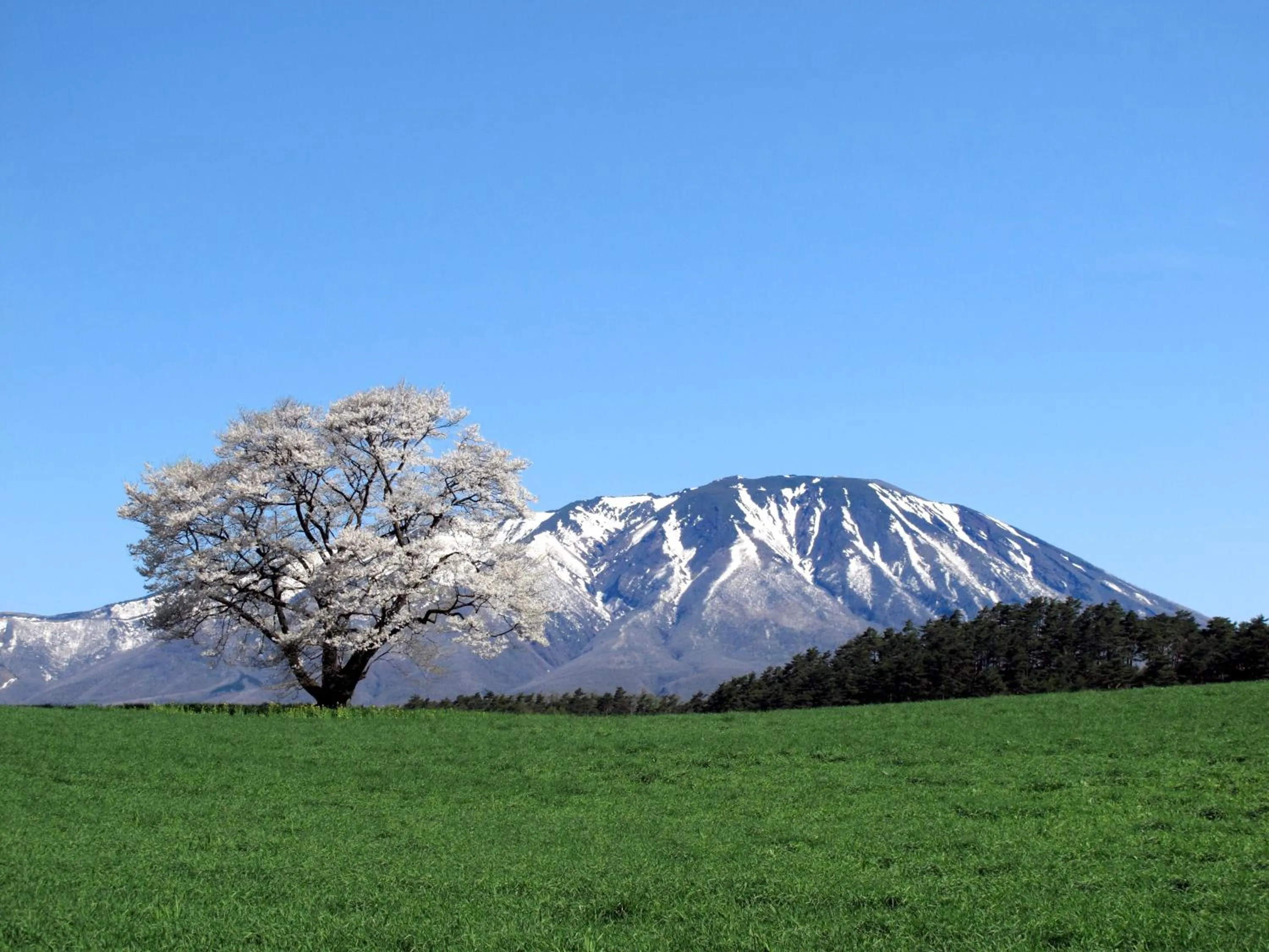 Nearby landmark in Pension Sanrinsha