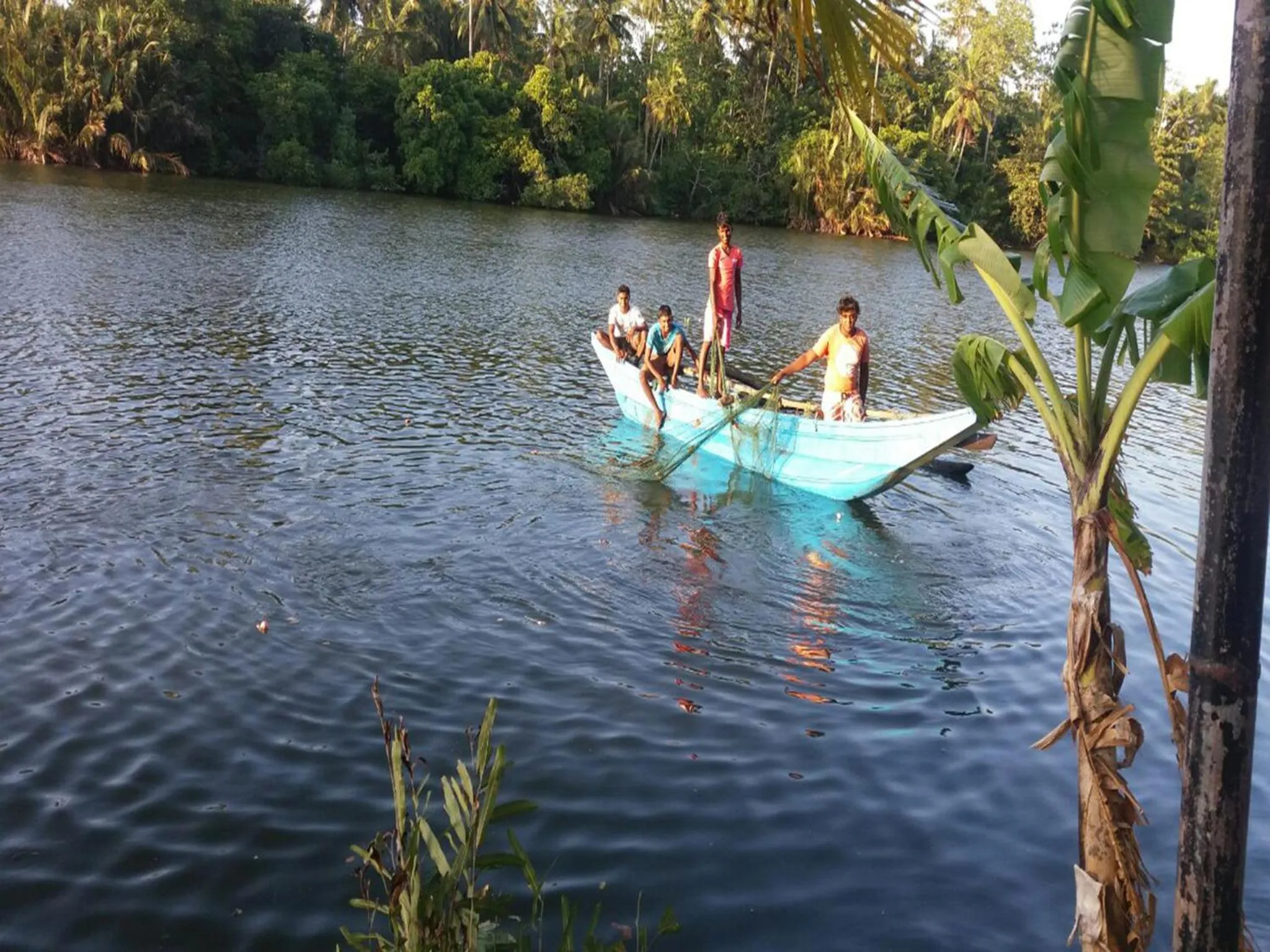 River view in Pelli Riverine