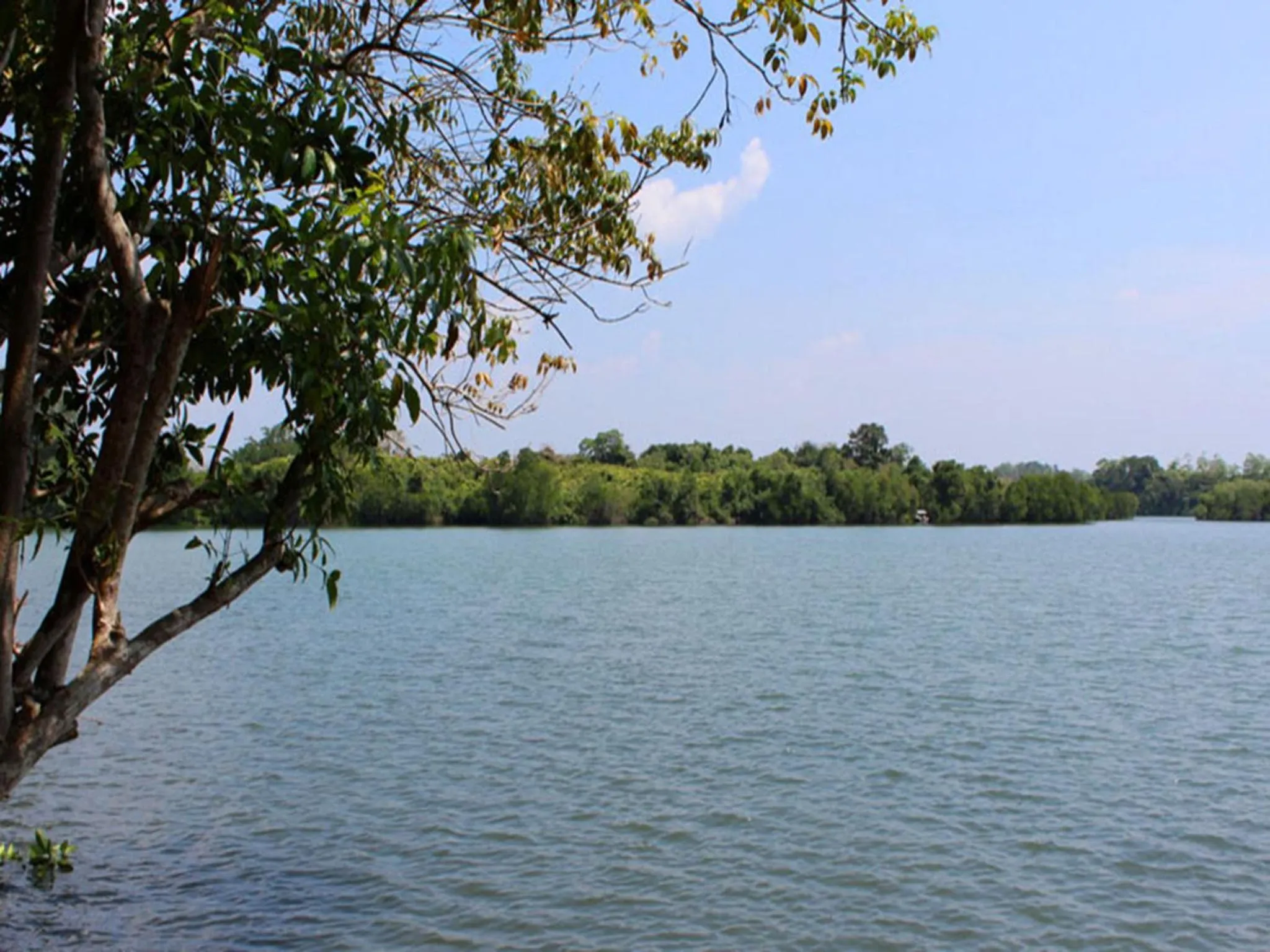 Location in Pelli Riverine