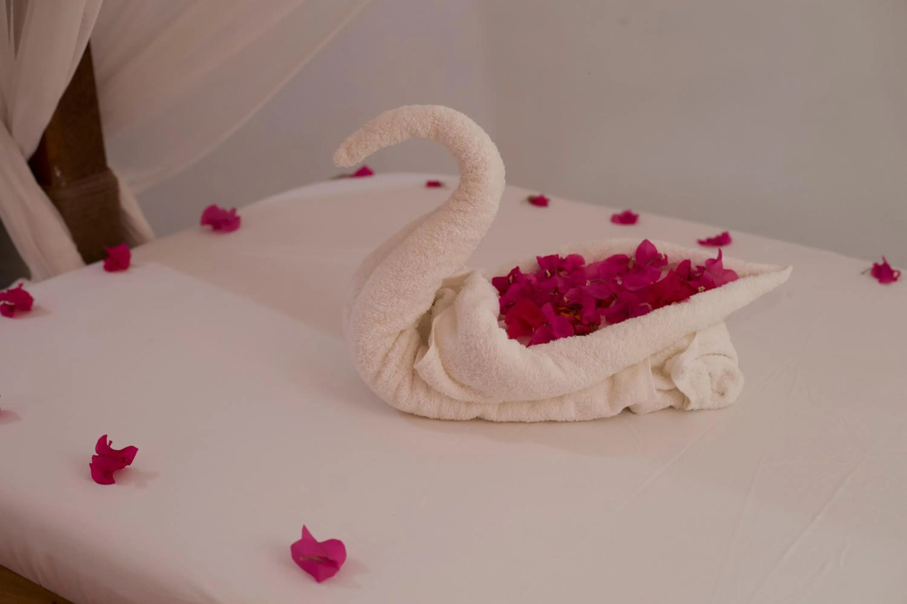 Bed in Barabara House