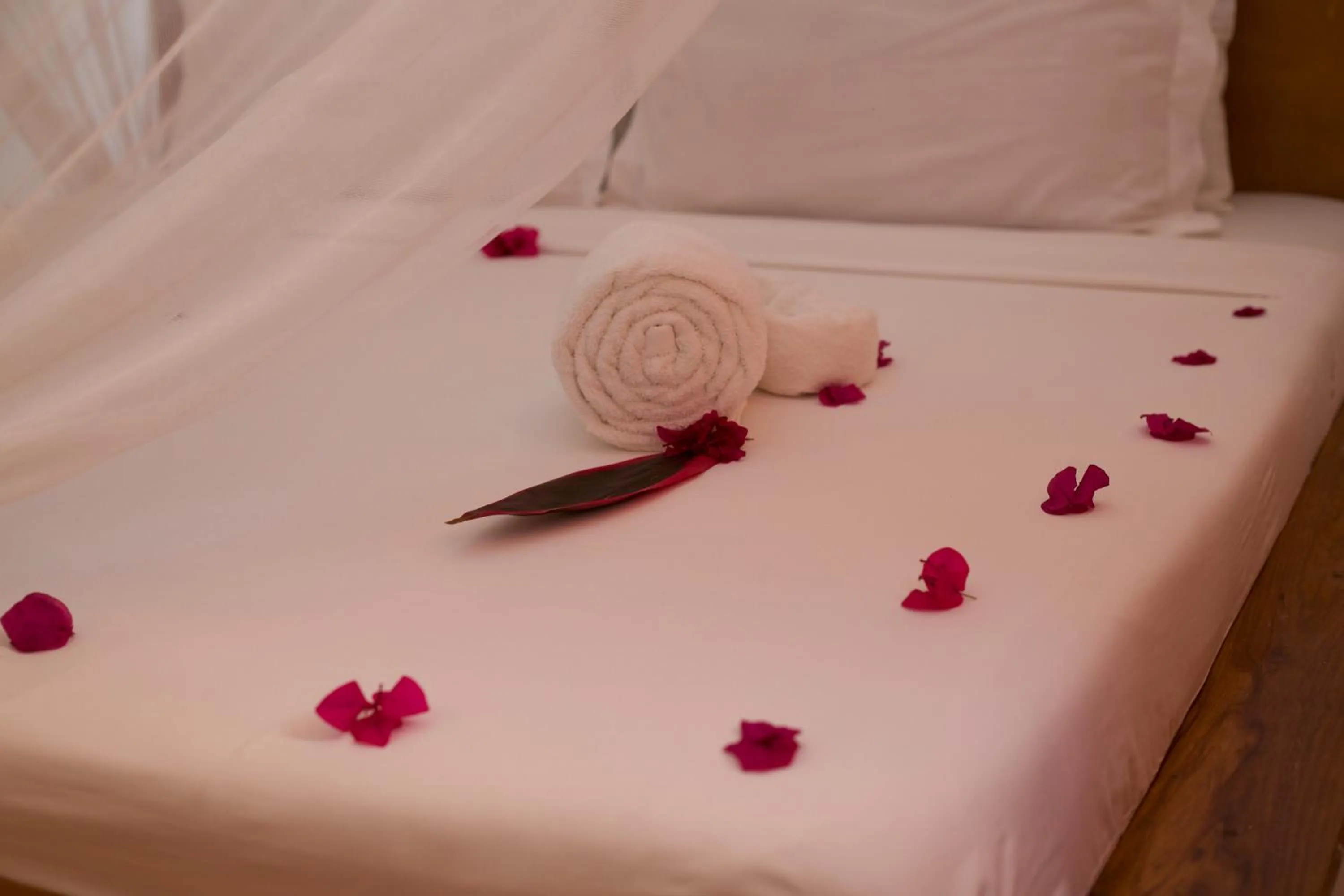 Bed in Barabara House