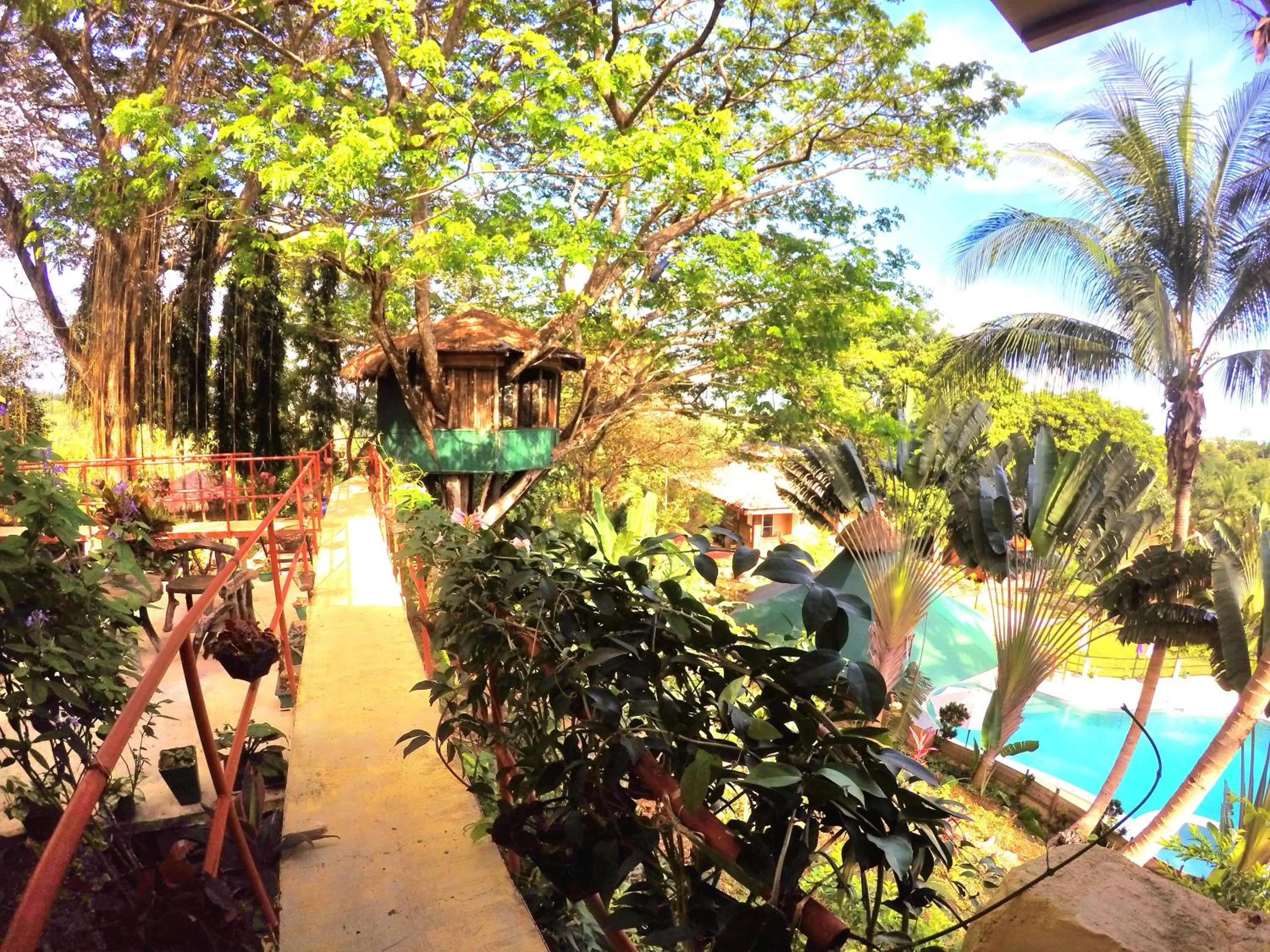 Al Hamra Jungle Resort