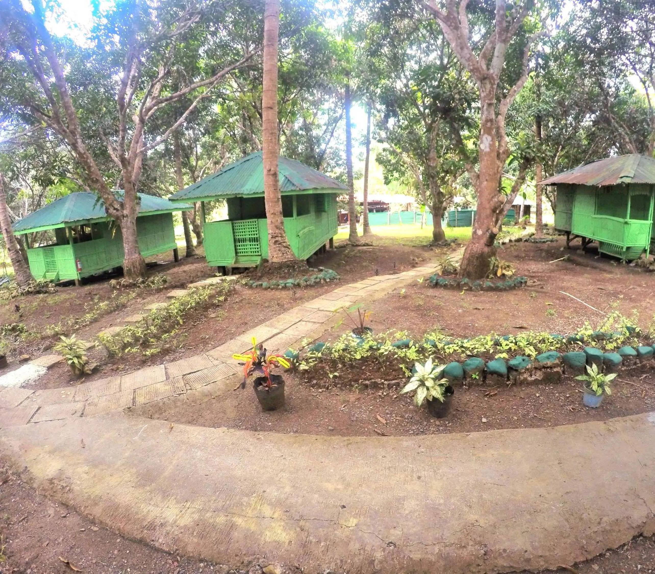 Al Hamra Jungle Resort