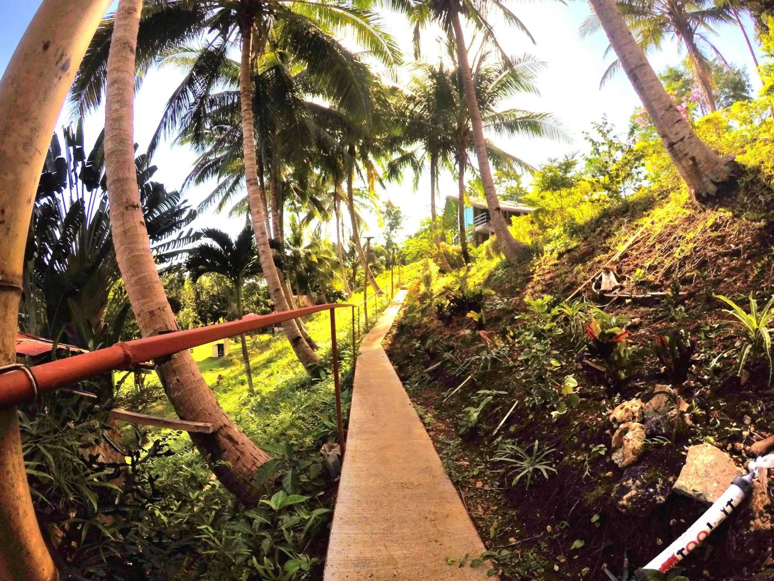 Al Hamra Jungle Resort