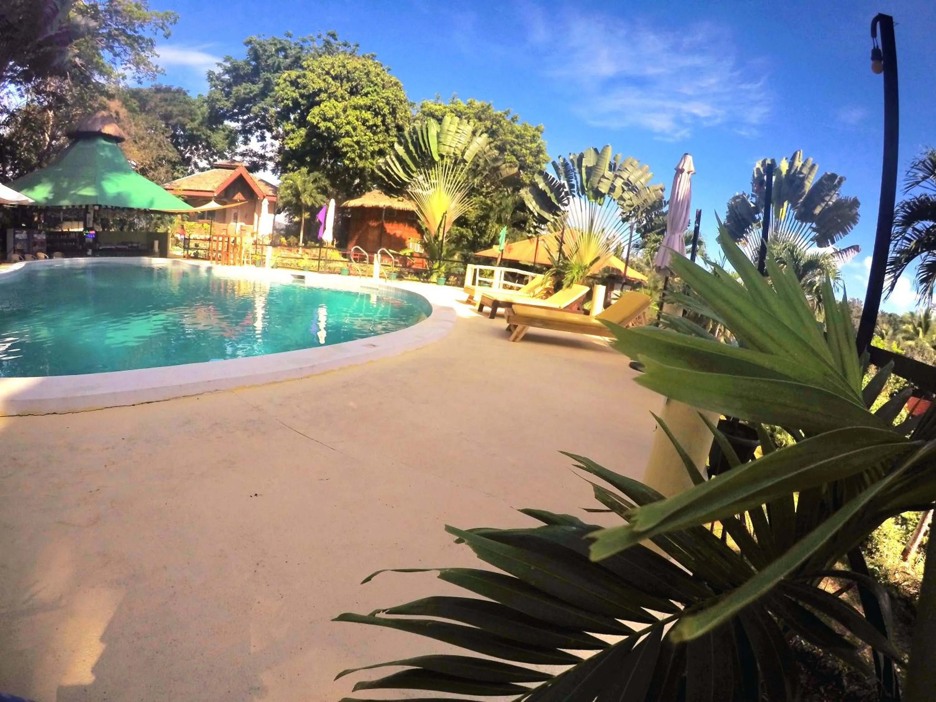 Al Hamra Jungle Resort