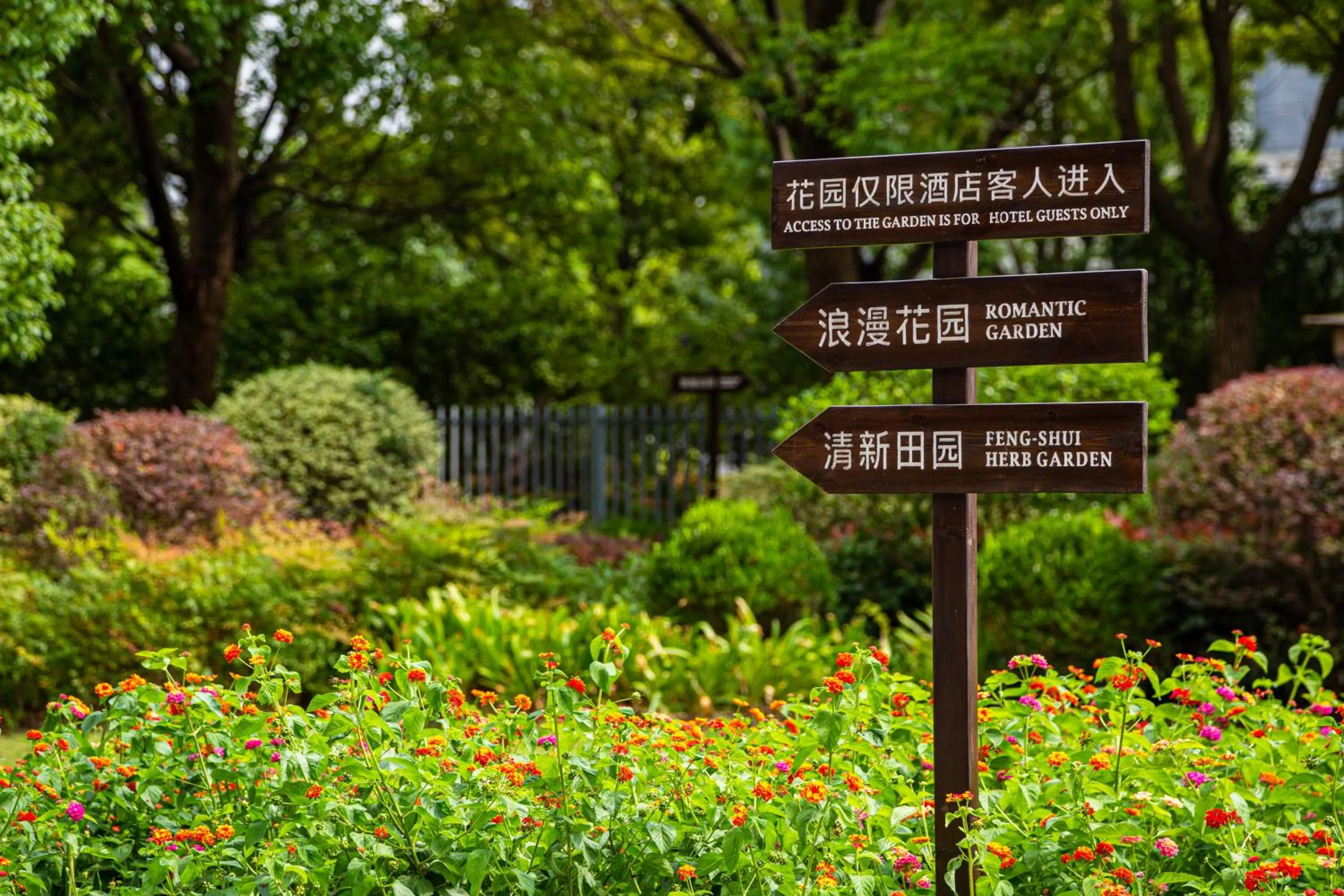 Garden in The Senz Hotel & SPA