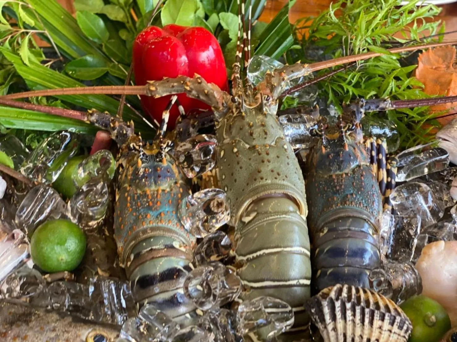 Food and drinks in Koh Jum Ocean Beach Resort