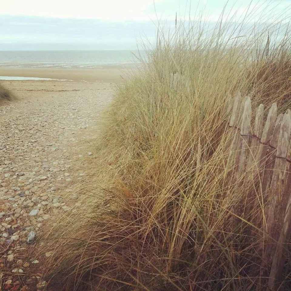 Beach in La Cantellerie