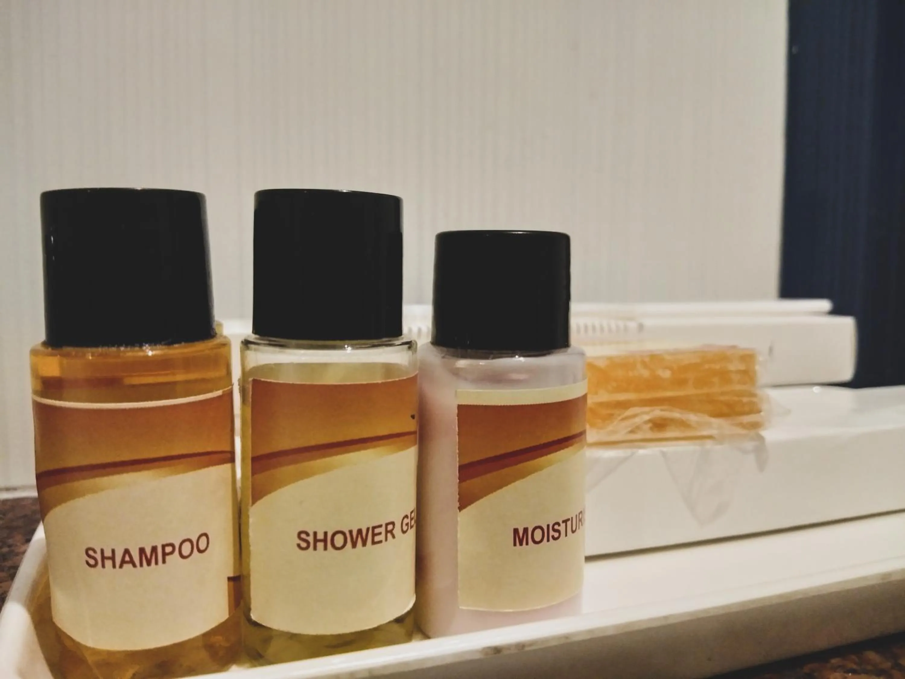 Shower in Dwivedi Hotels Hotel Elena