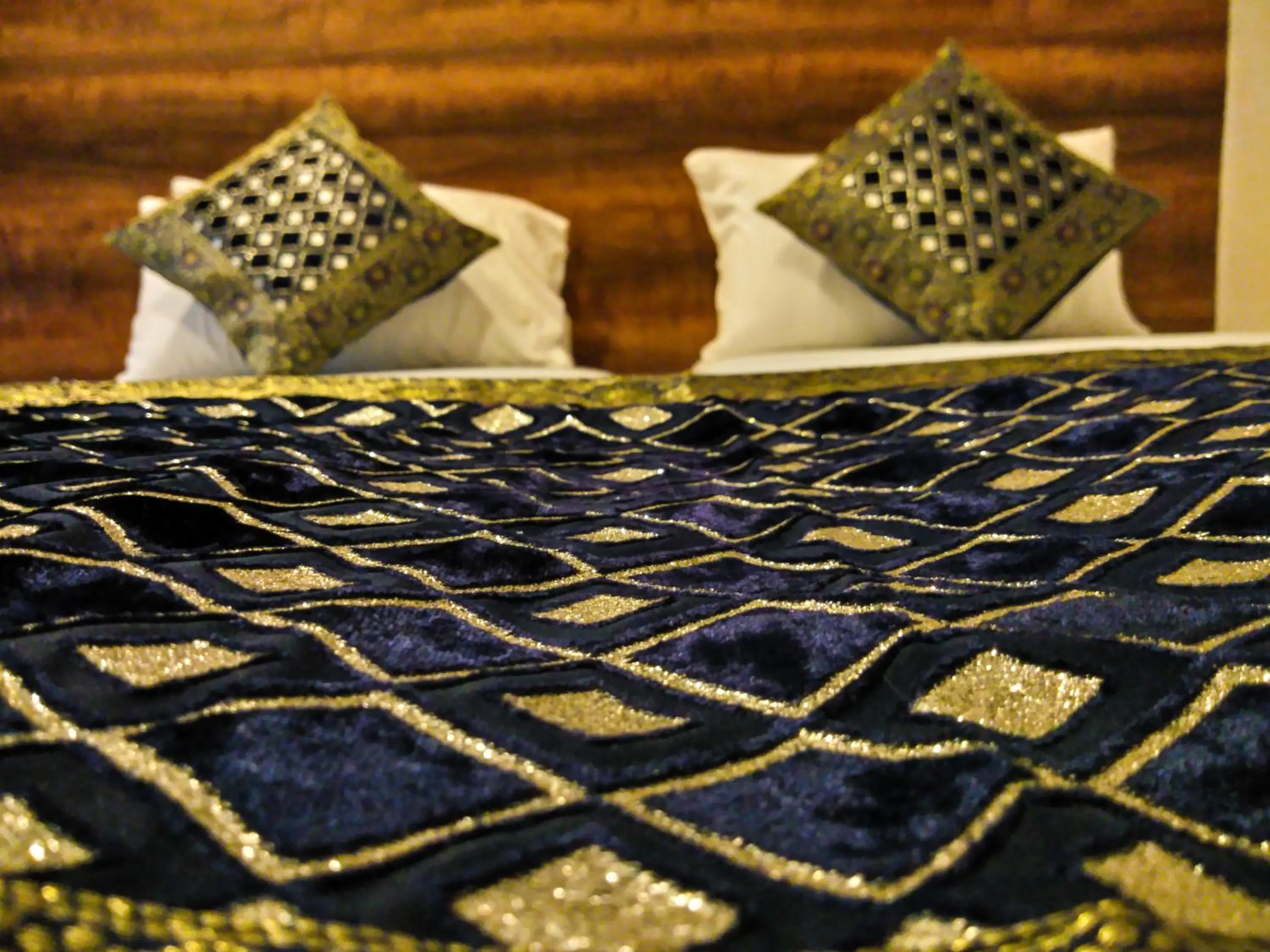 Dwivedi Hotels Hotel Elena