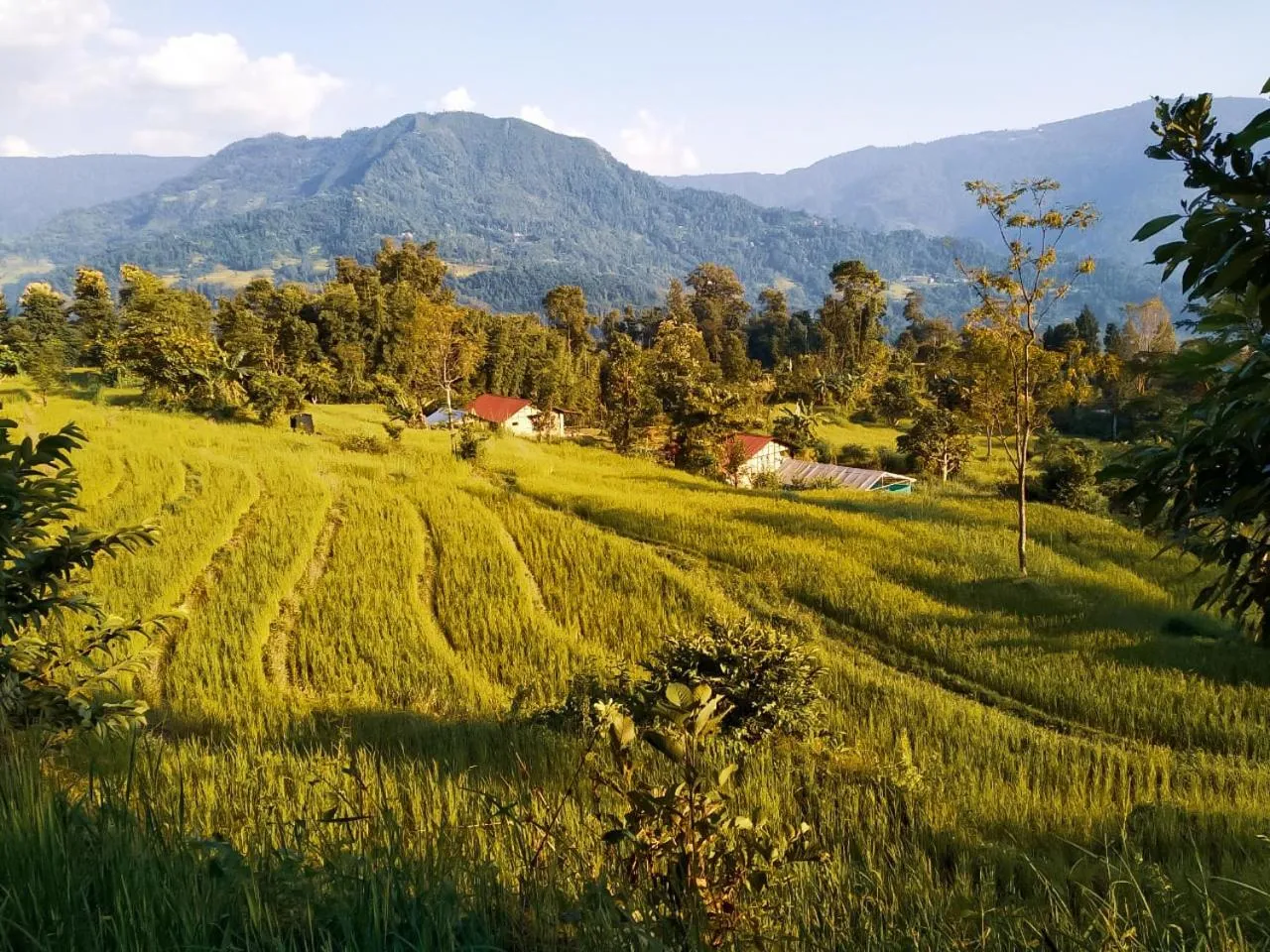 PaliGhar Farmstay