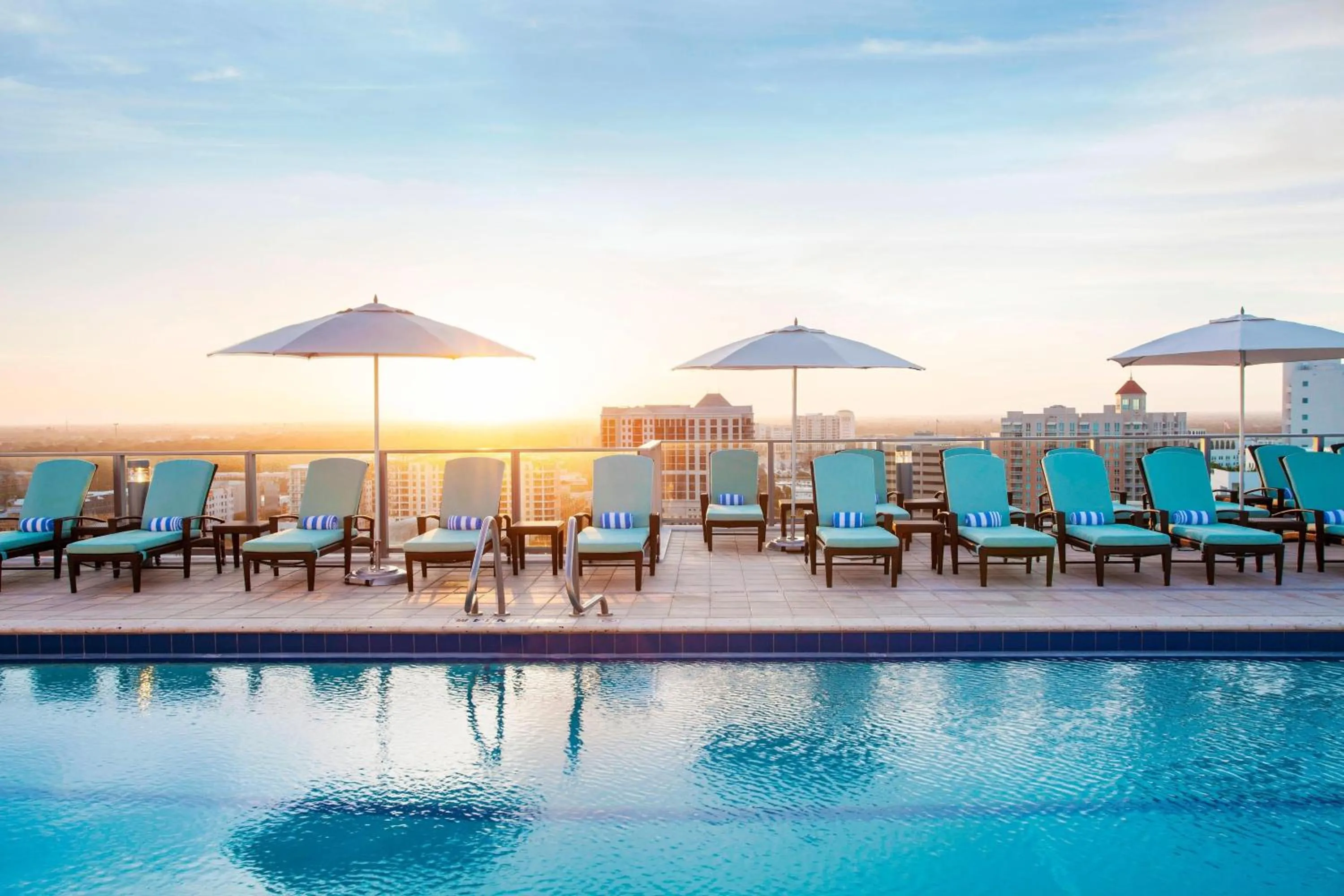 Swimming pool in The Westin Sarasota