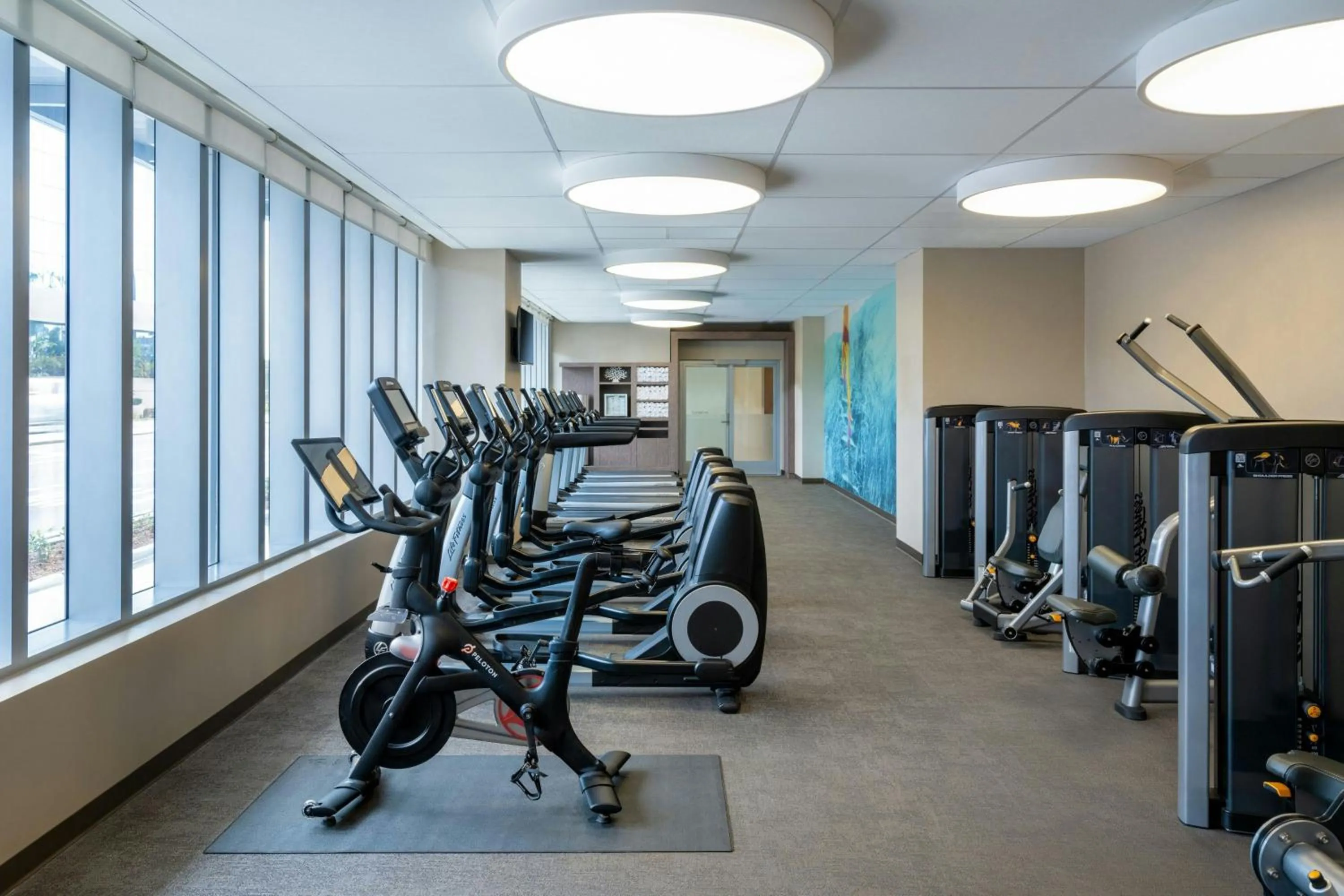 Fitness centre/facilities in The Westin Sarasota