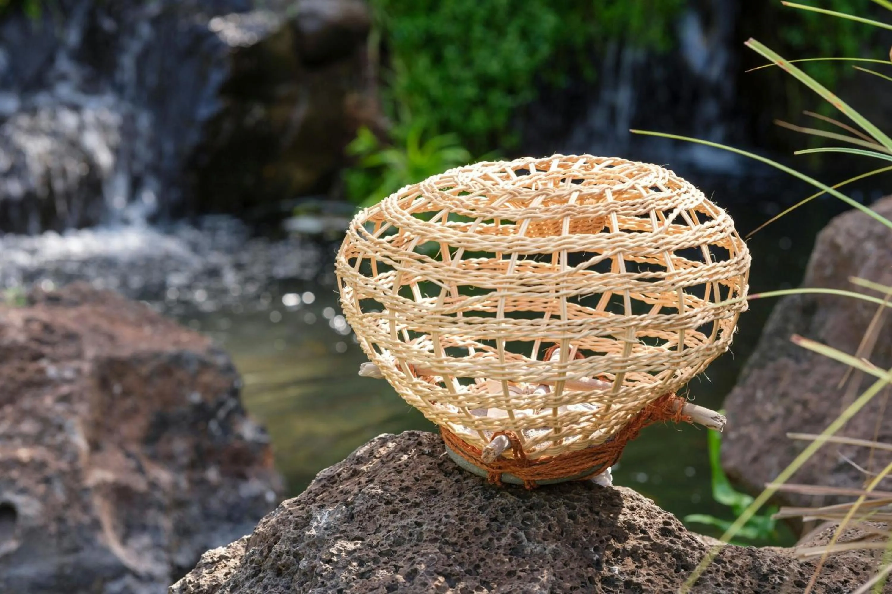 Other in The Westin Nanea Ocean Villas, Ka'anapali