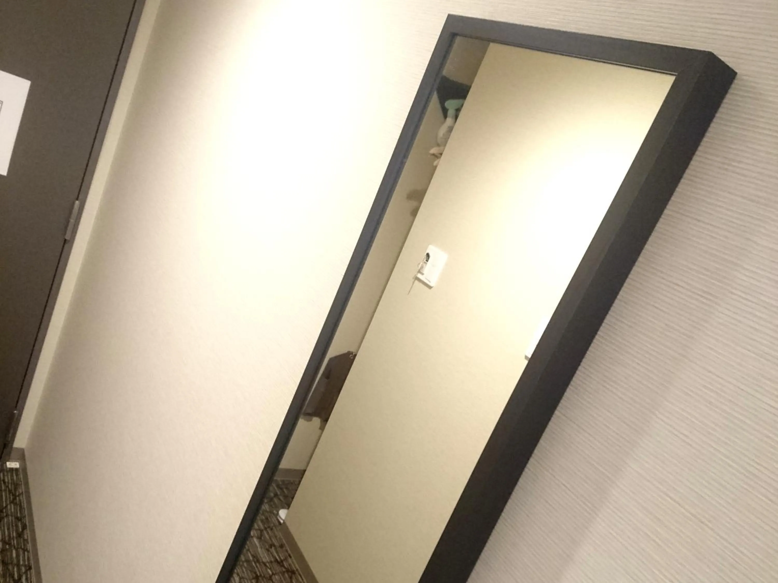 Photo of the whole room in Amistad Hotel