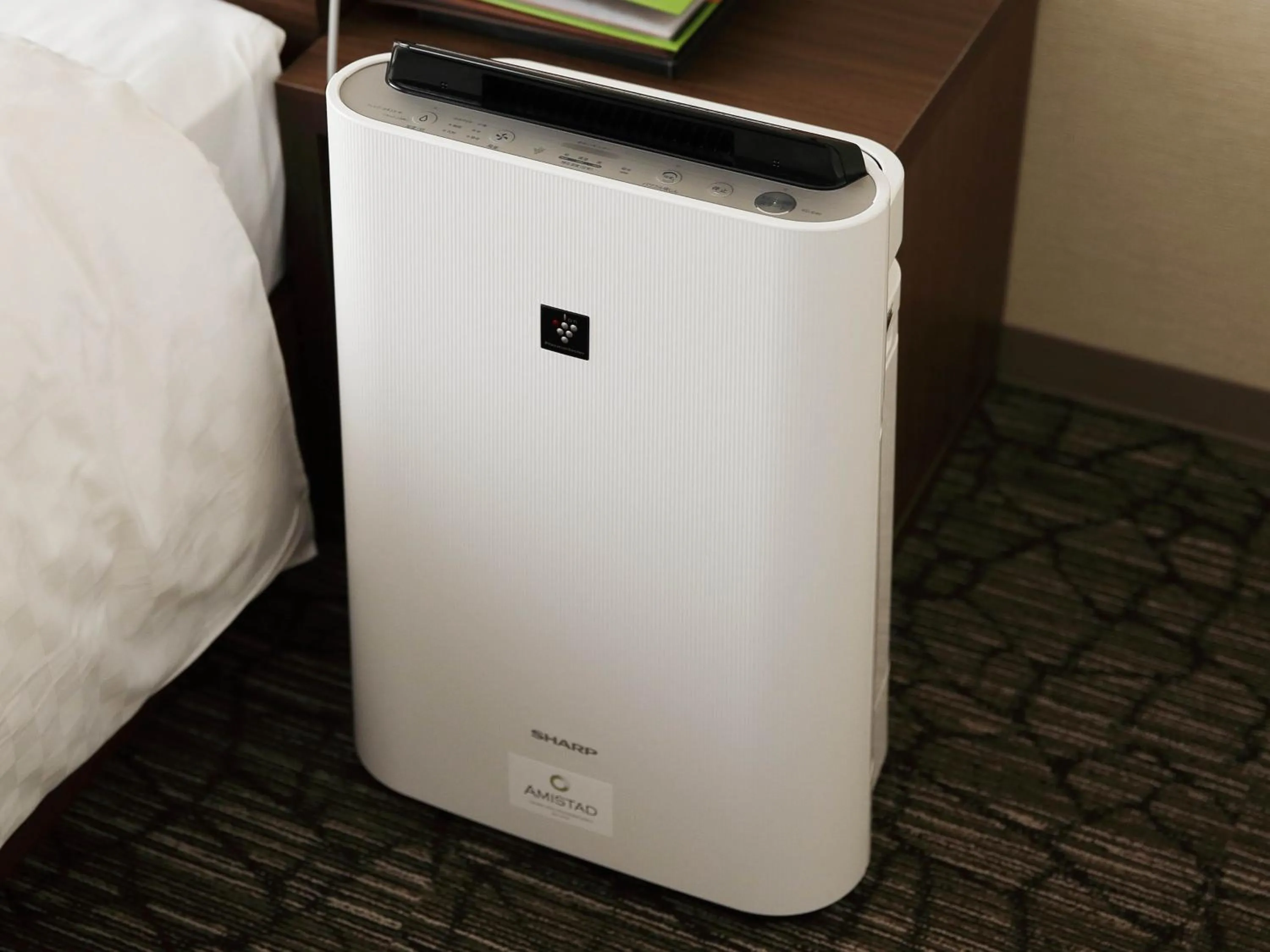 Photo of the whole room in Amistad Hotel