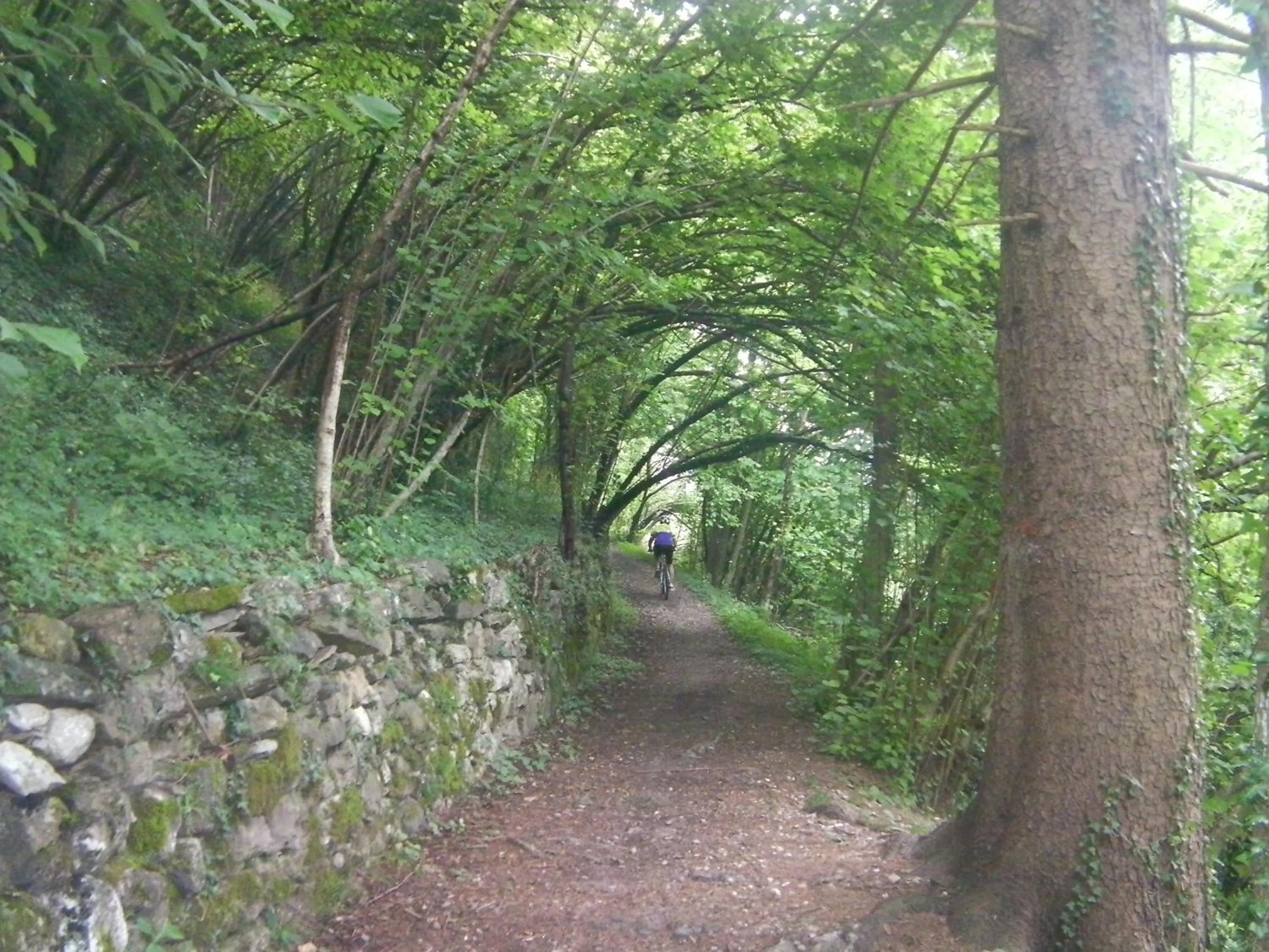 Activities in B&B da mamma Lo