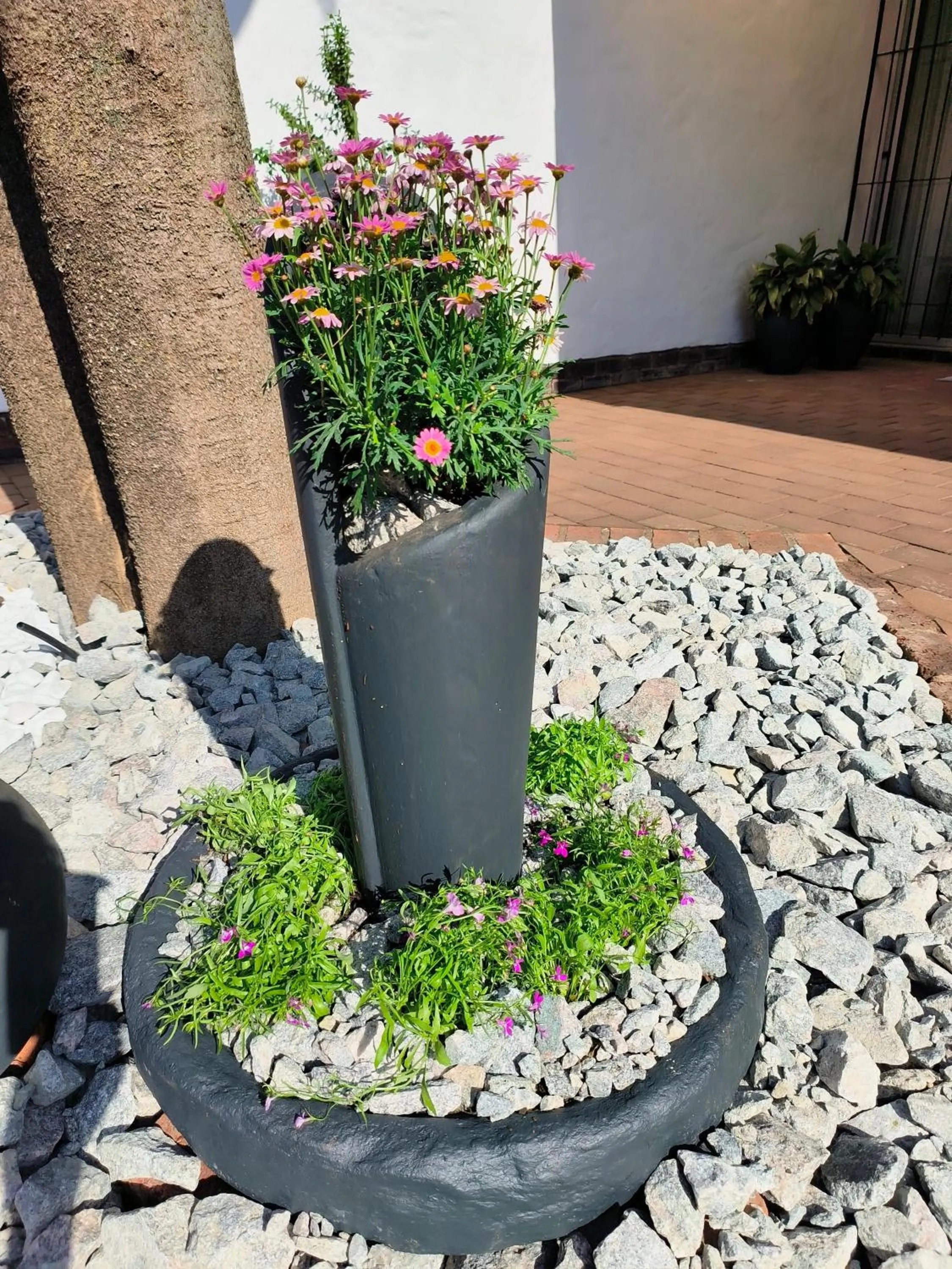 Garden view in Wilger Guesthouse