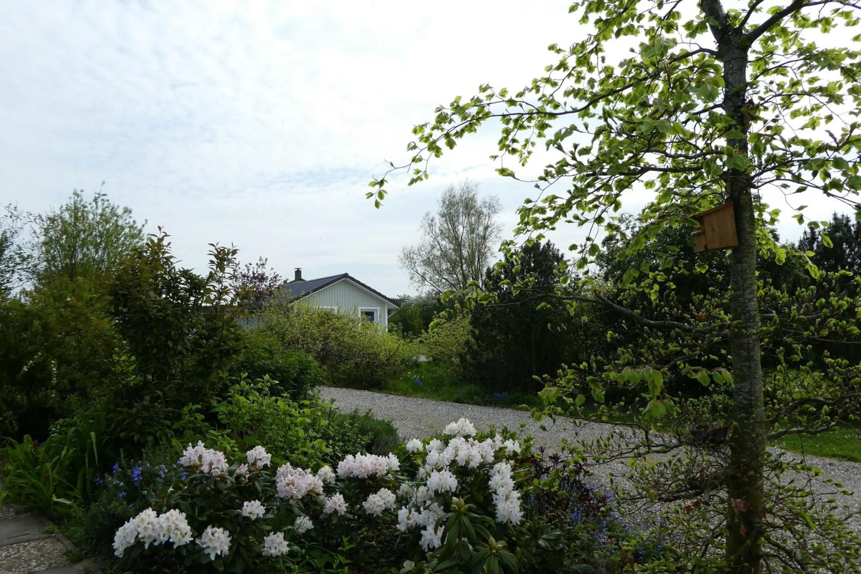 Ferienhaus-Silbermoewe