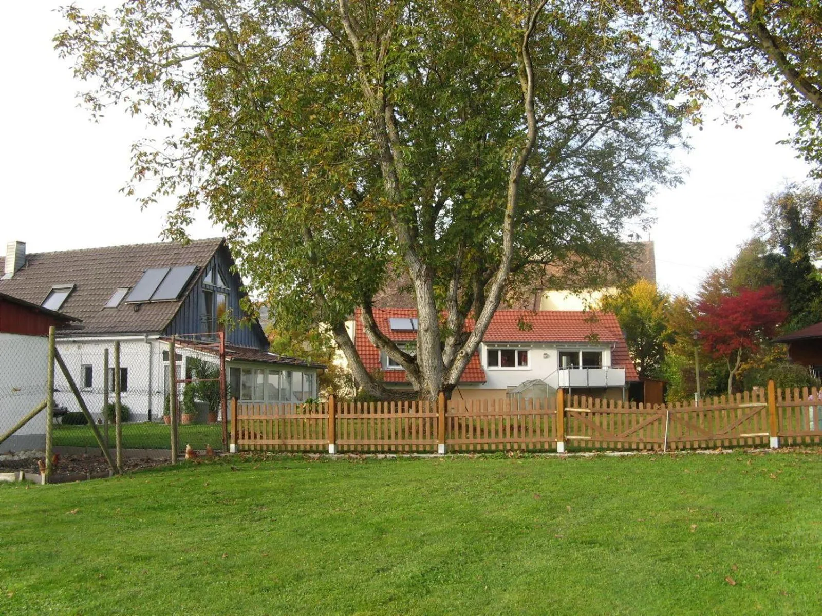 Nussbaum