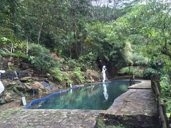 Swimming pool in Maskeli Oya Family Park