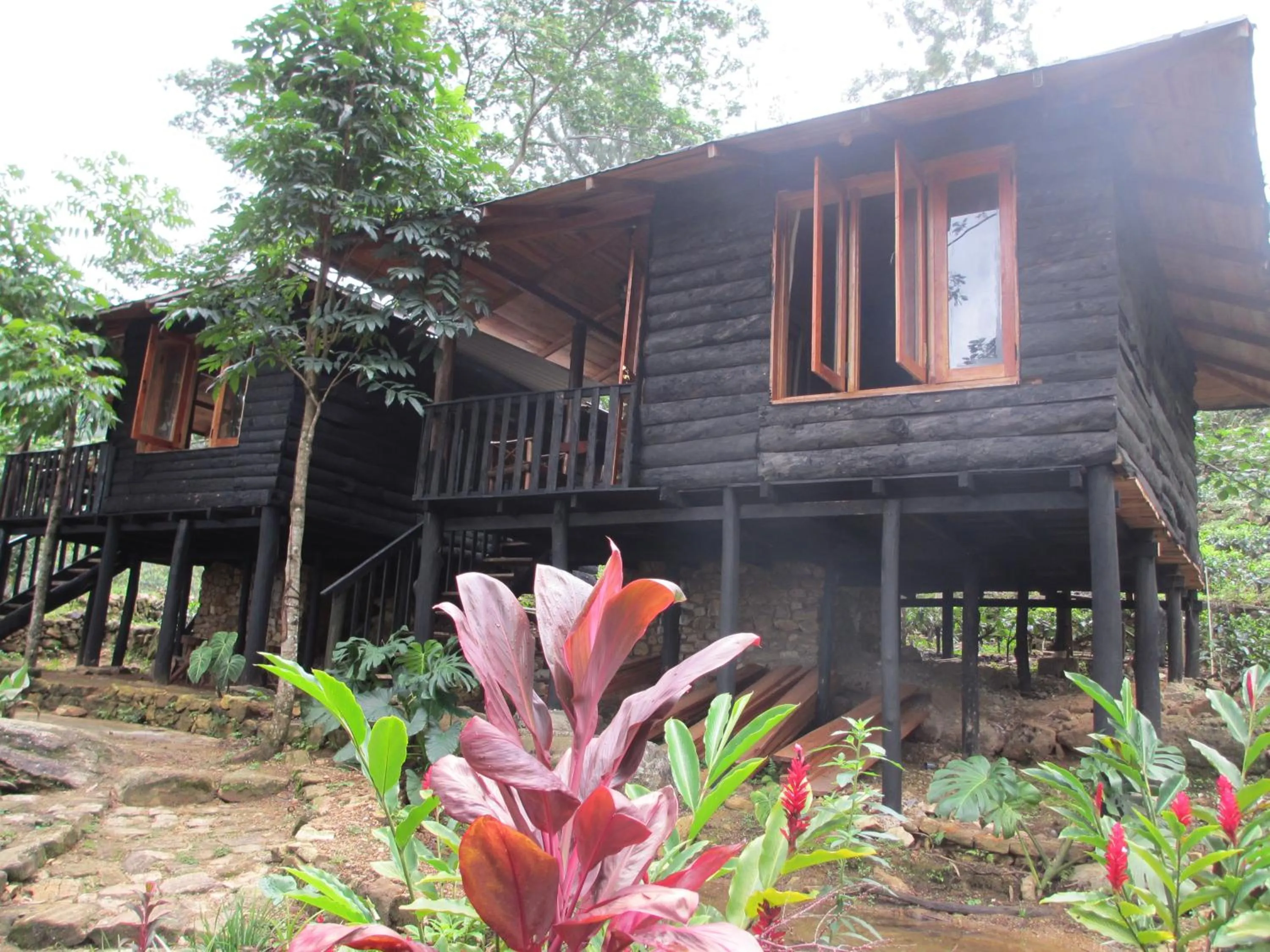 Other in Maskeli Oya Family Park