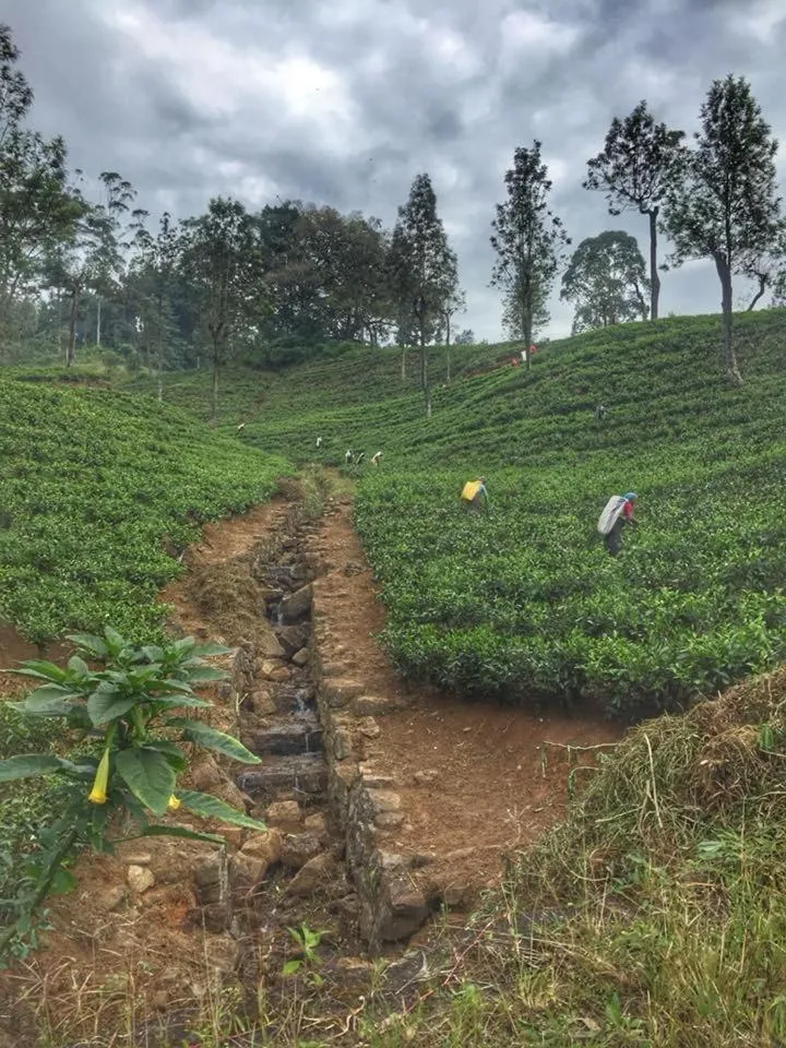 Maskeli Oya Family Park