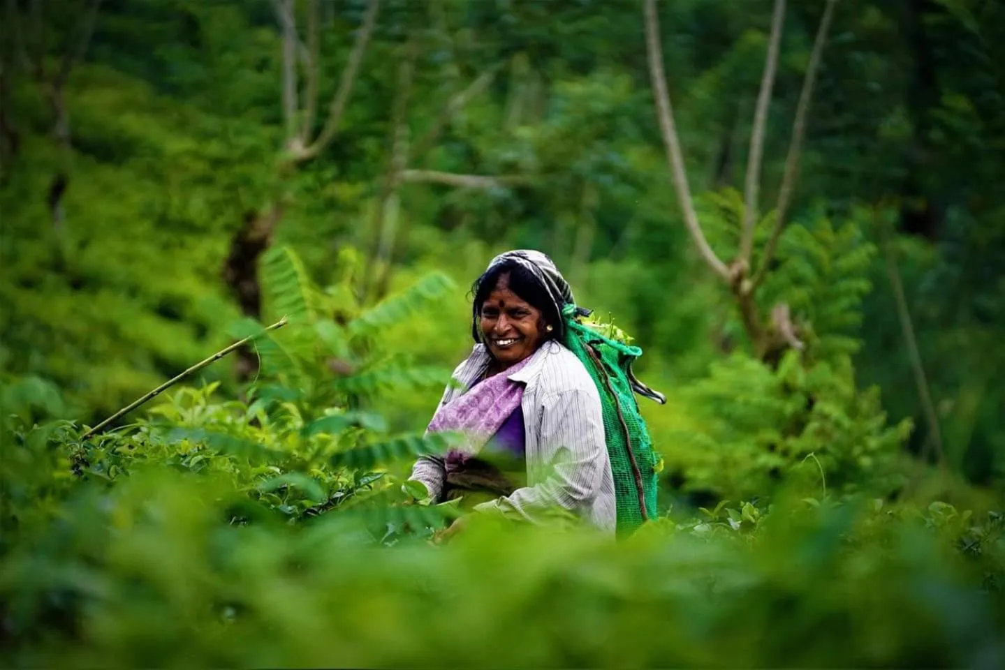 Staff in Maskeli Oya Family Park
