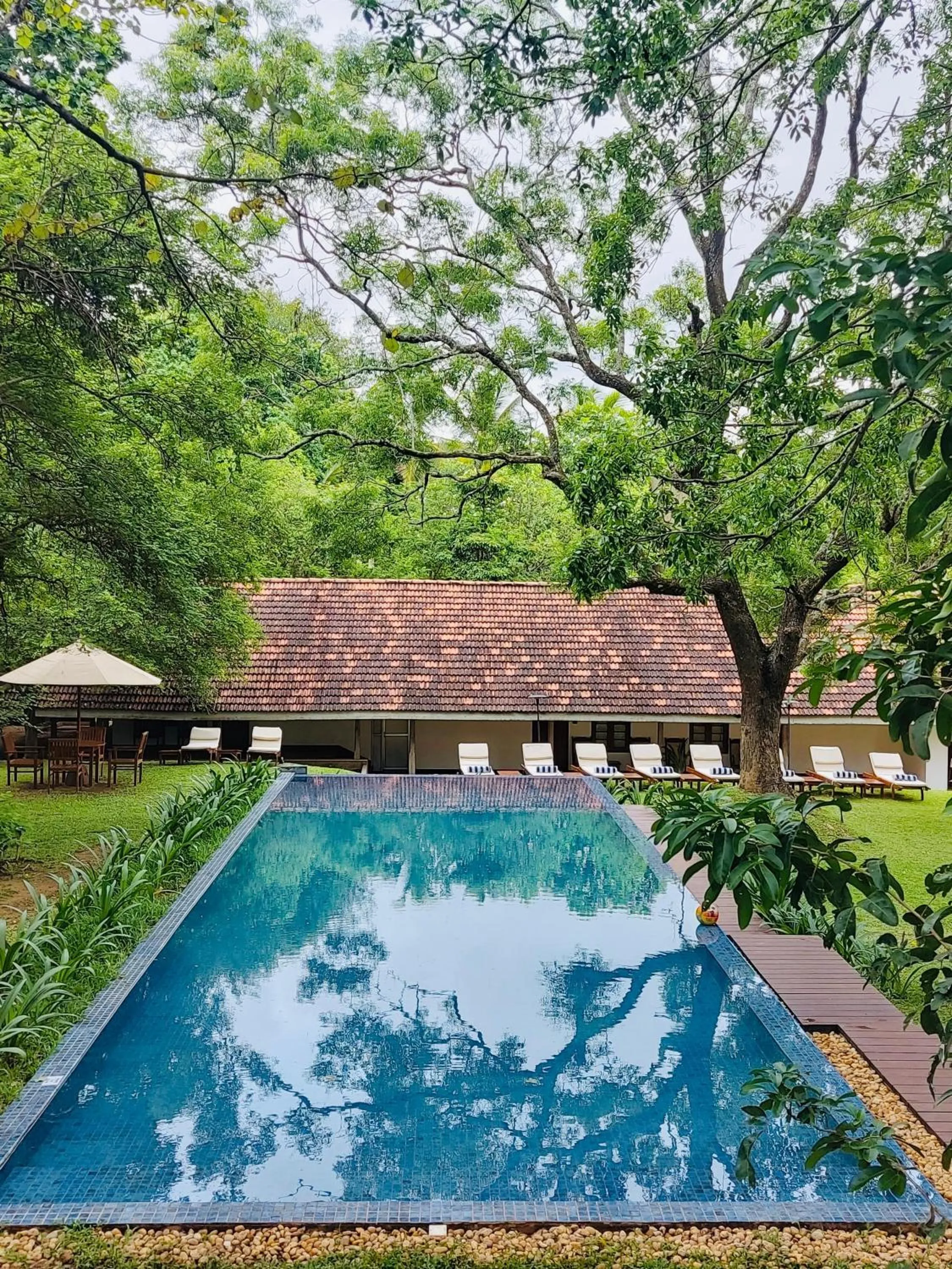 Swimming pool in EKHO Sigiriya - 700 meters to Sigiriya Rock