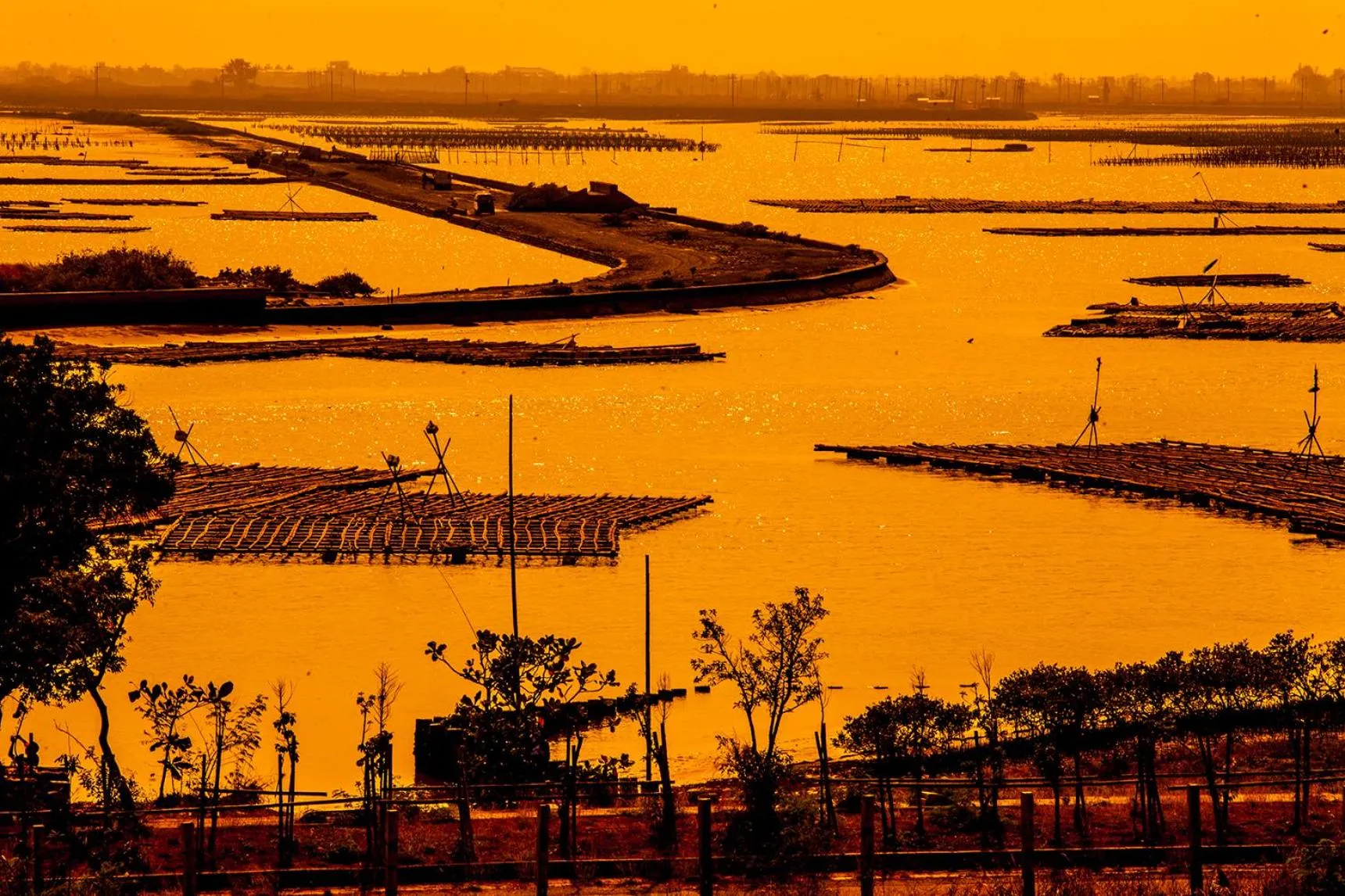 Summer in Light Shadow