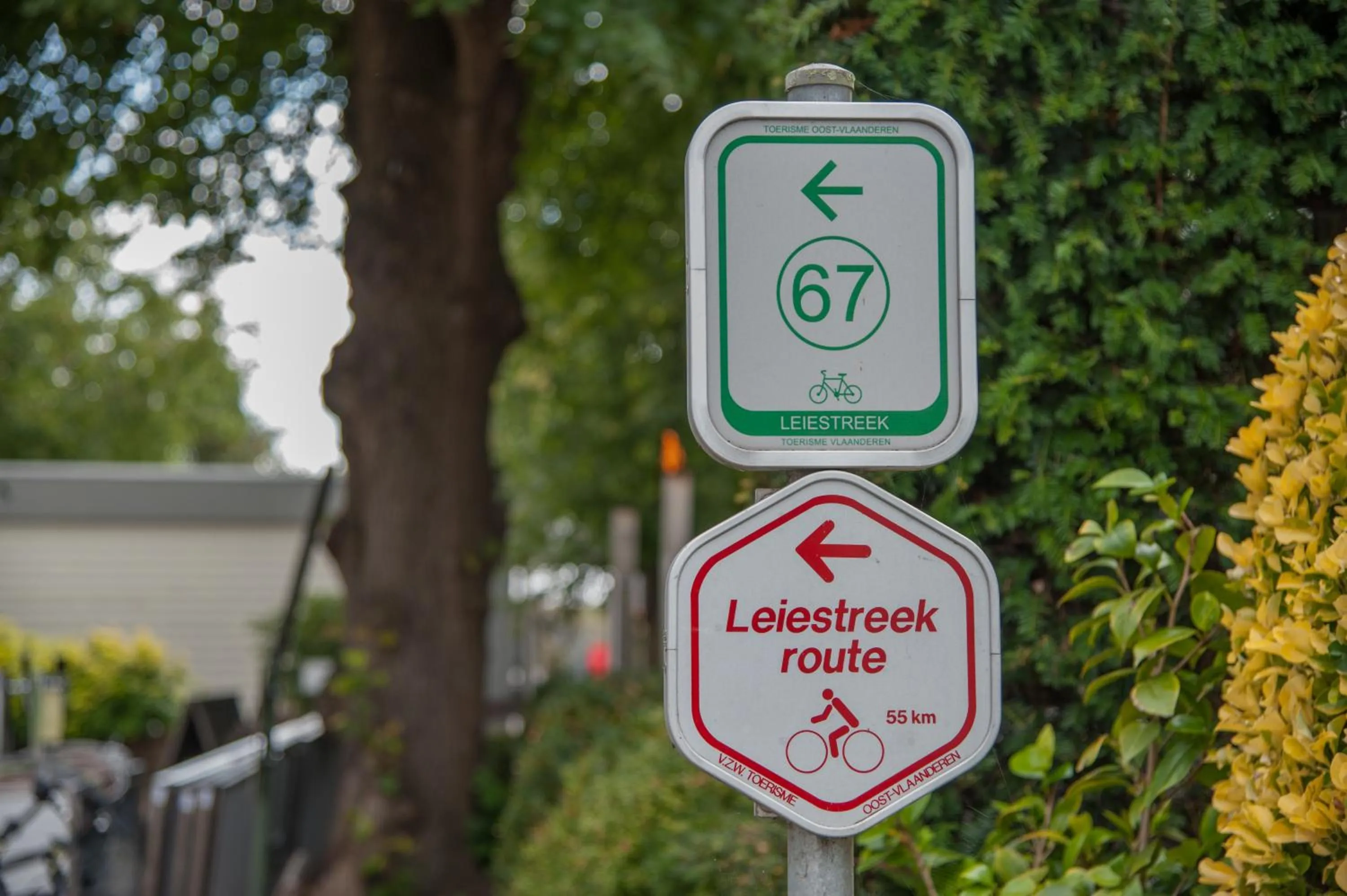Cycling in Hotel Torenhof