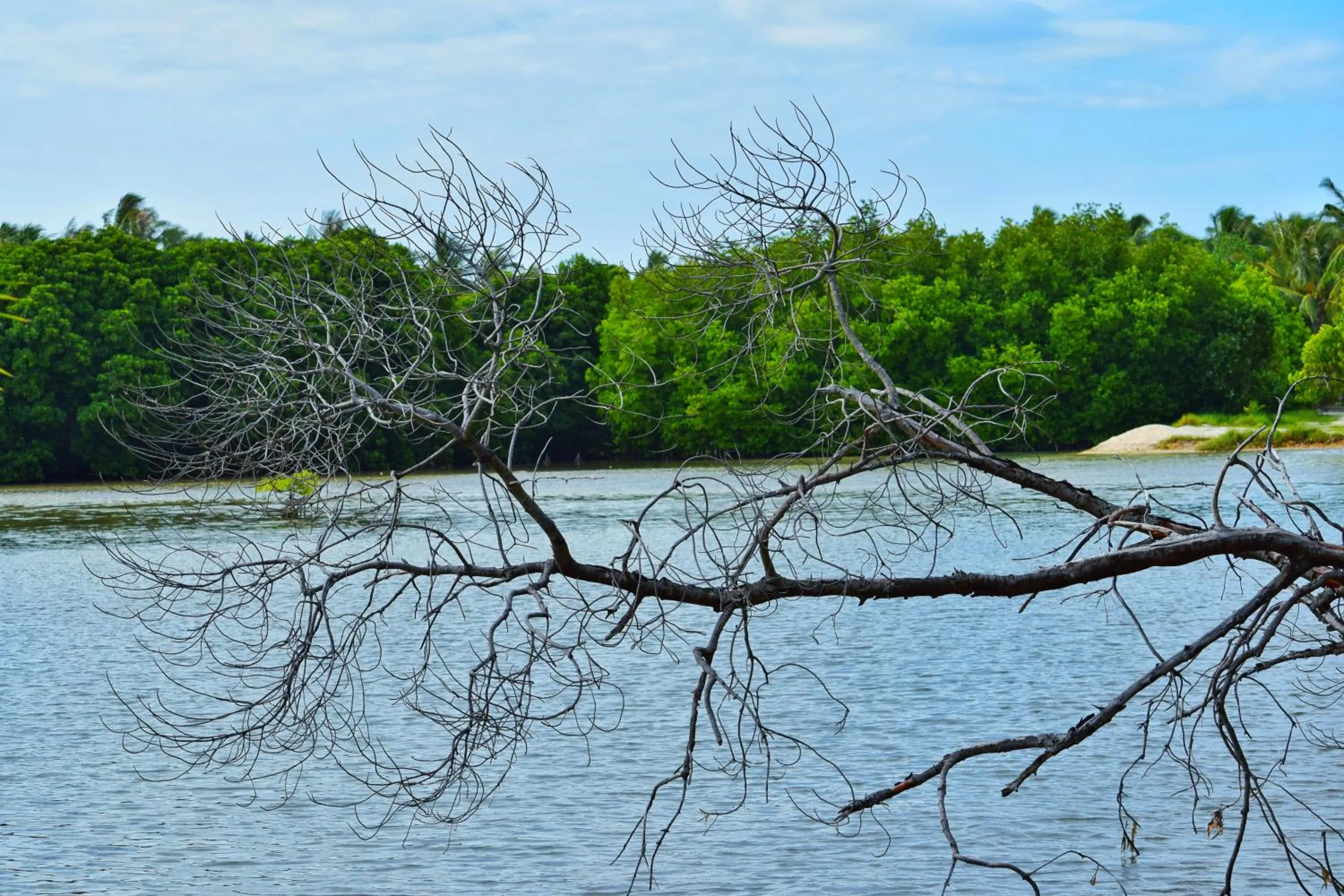 Off site in The Sunrise Huraa