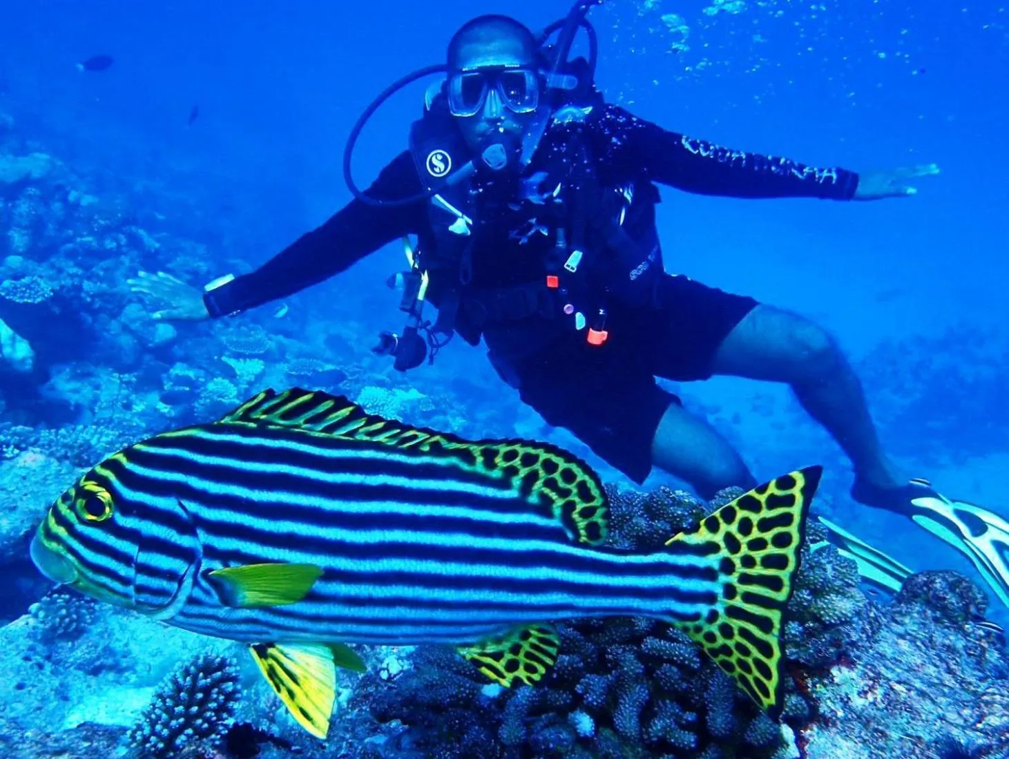 Fishing in The Sunrise Huraa